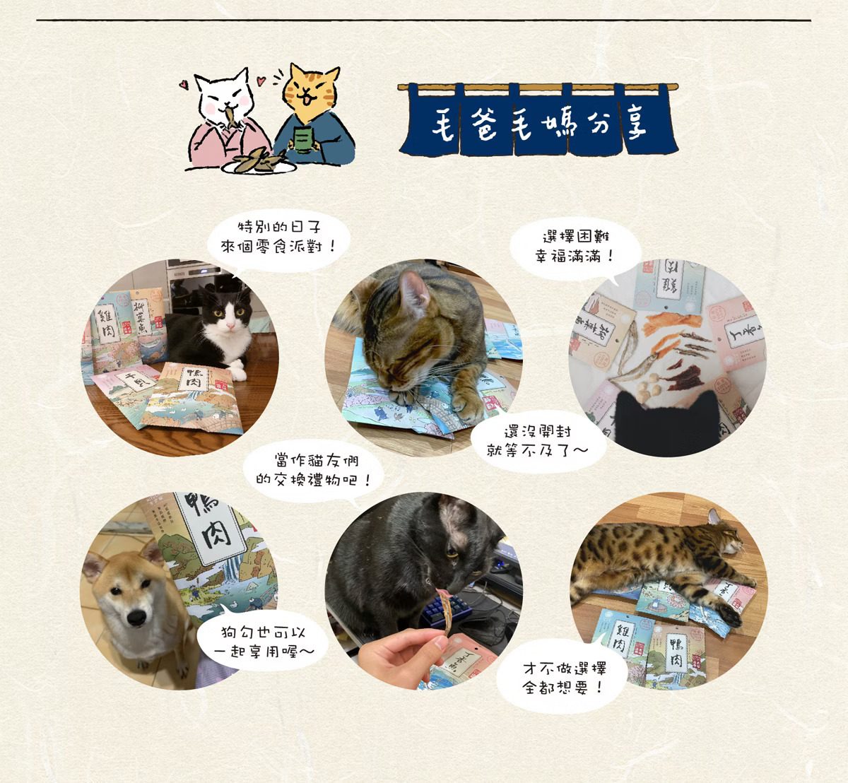 台灣吉豆貓｜寵物原肉凍乾零食