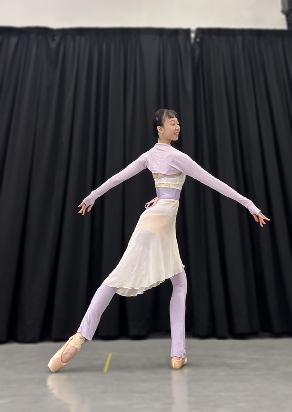 美國Aluvie【AL-AS001 輕薄袖套】