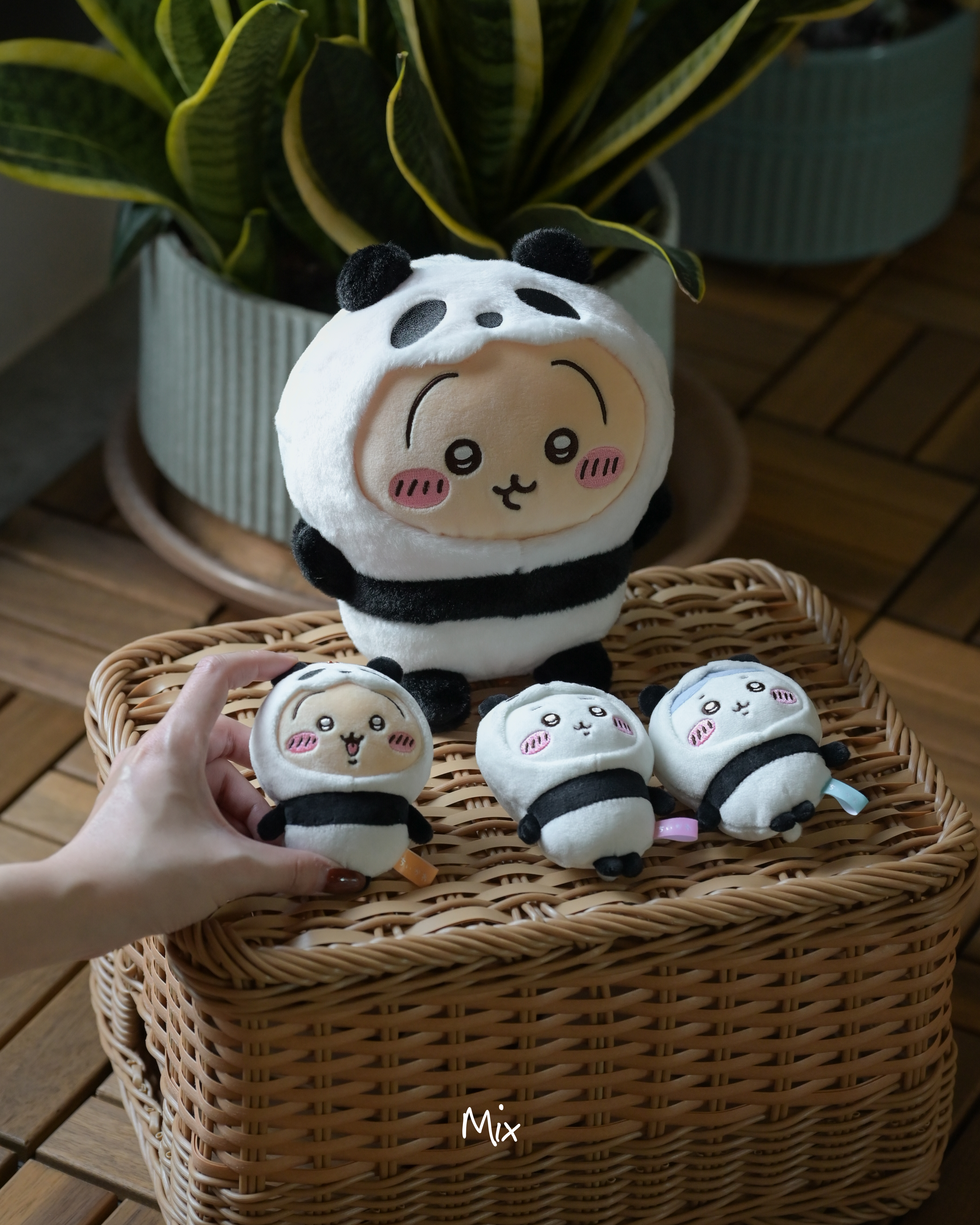 iSNEAKERS | 日本 Chiikawa吉伊卡哇 成都限定 熊貓系列 吊飾 S娃娃
