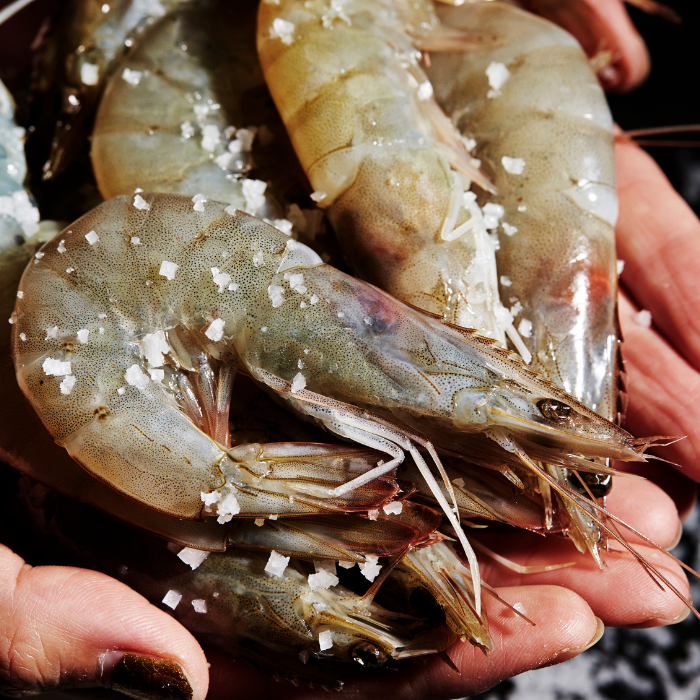 【富崎】2/3活凍極品大白蝦