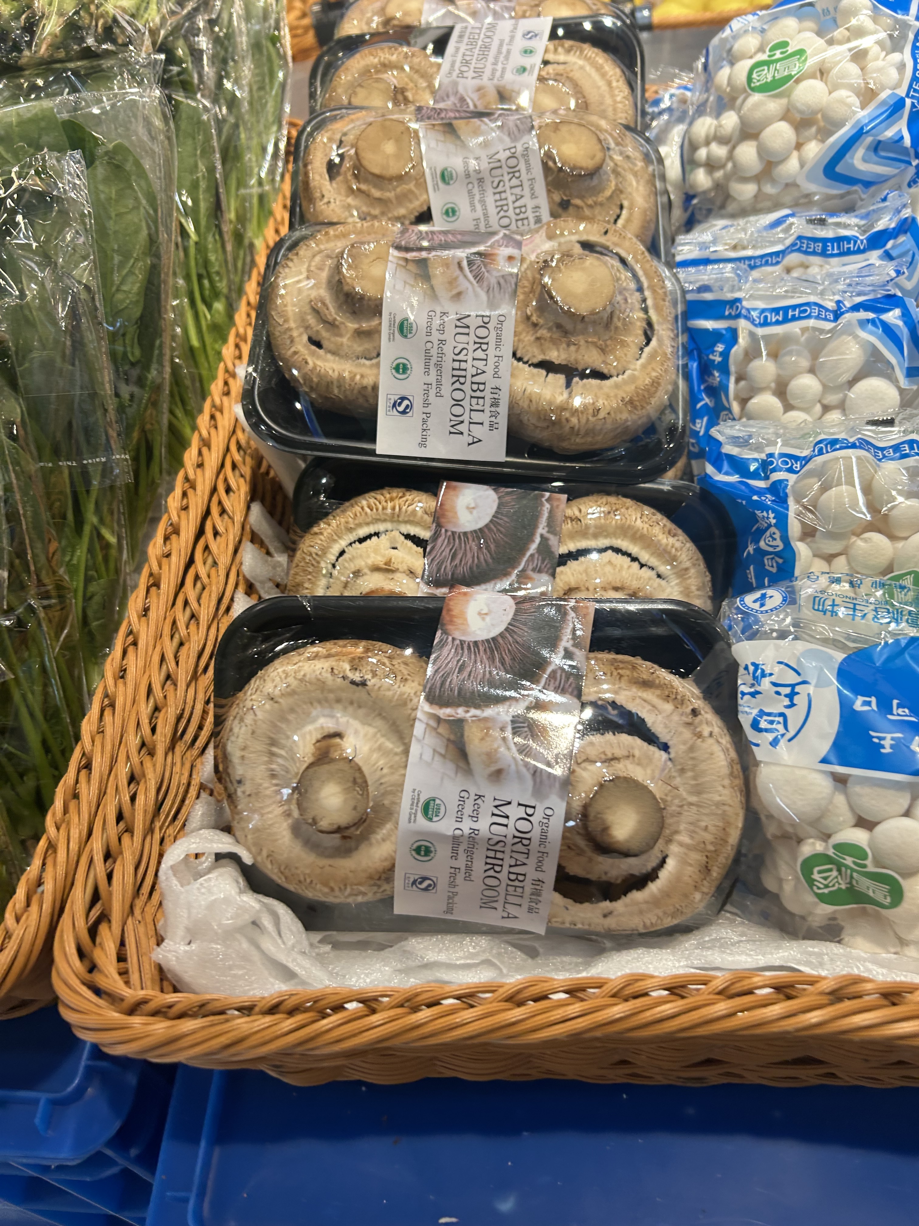 Bless 菜 大啡菇 04