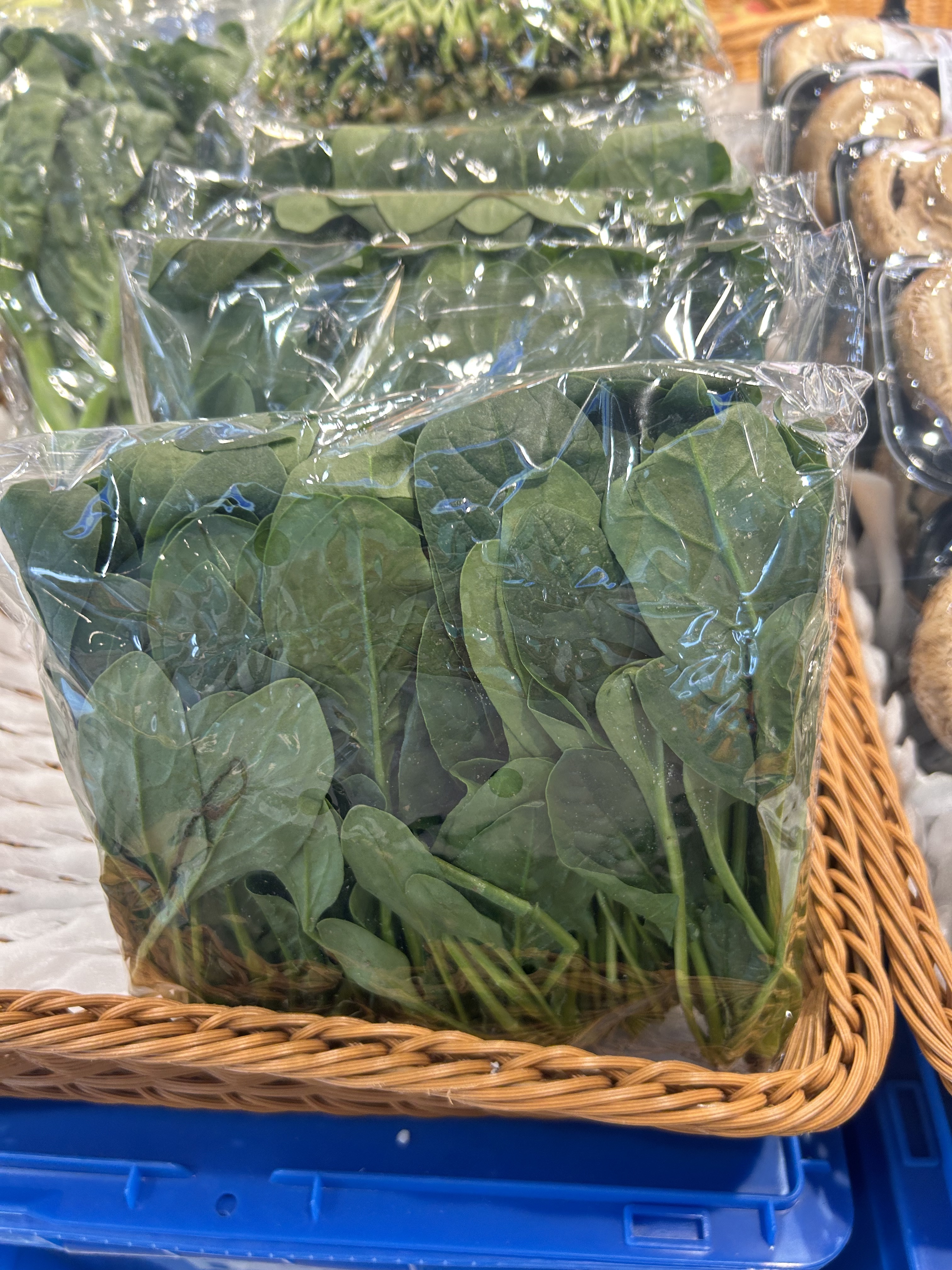 Bless -菜  菠菜苗 03