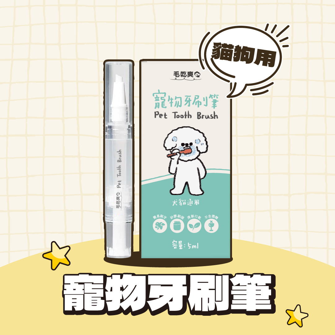 毛乾爽｜寵物牙刷 寵物潔牙筆 寵物牙刷筆 5ml/支