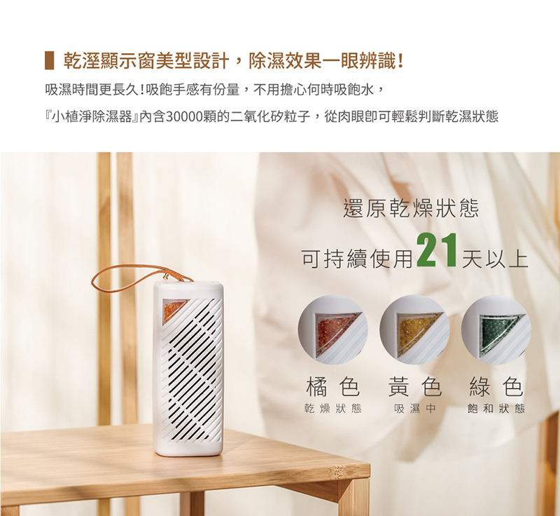 【SANSUI山水】小植淨除濕器1入組 (不含還原座)