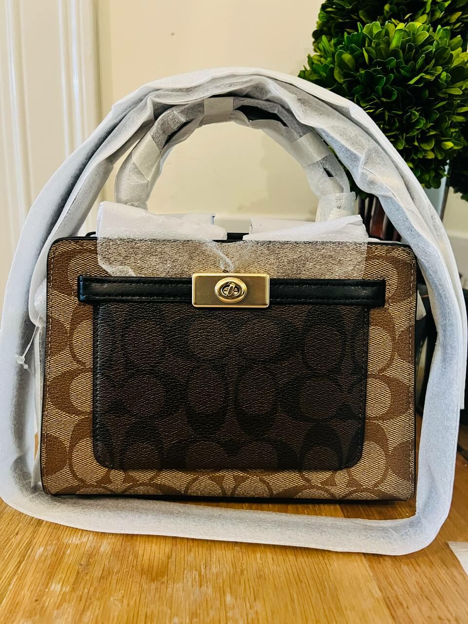 [U] EA COACH C8688 S/G BLK MINI LNE TP,IM/KHAKI BROWN MULTI, 195031482731 (UEA454)