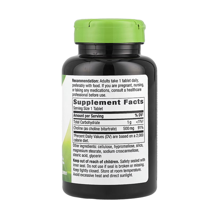 Nature’s Way Choline 500 mg ,100 Vegan Tablets