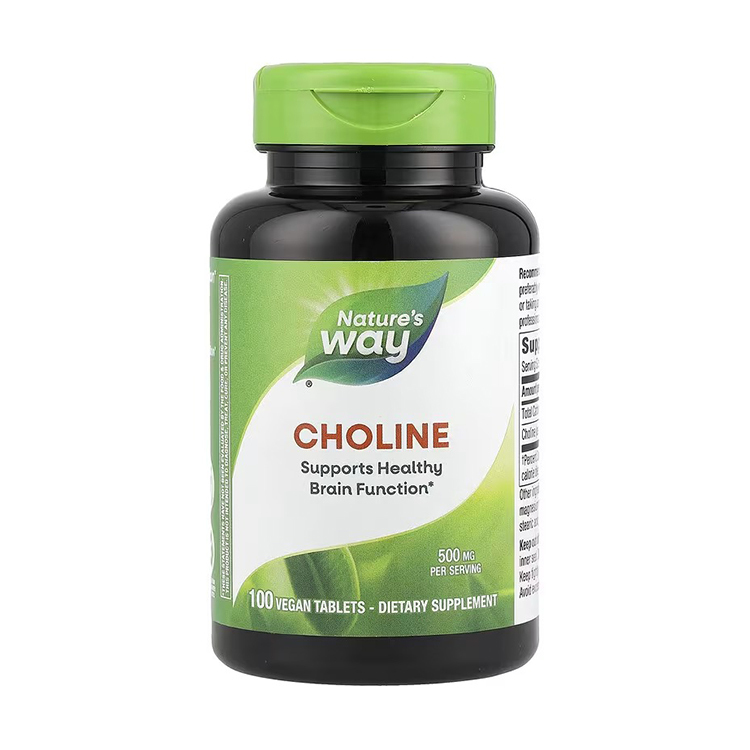 Nature’s Way Choline 500 mg ,100 Vegan Tablets
