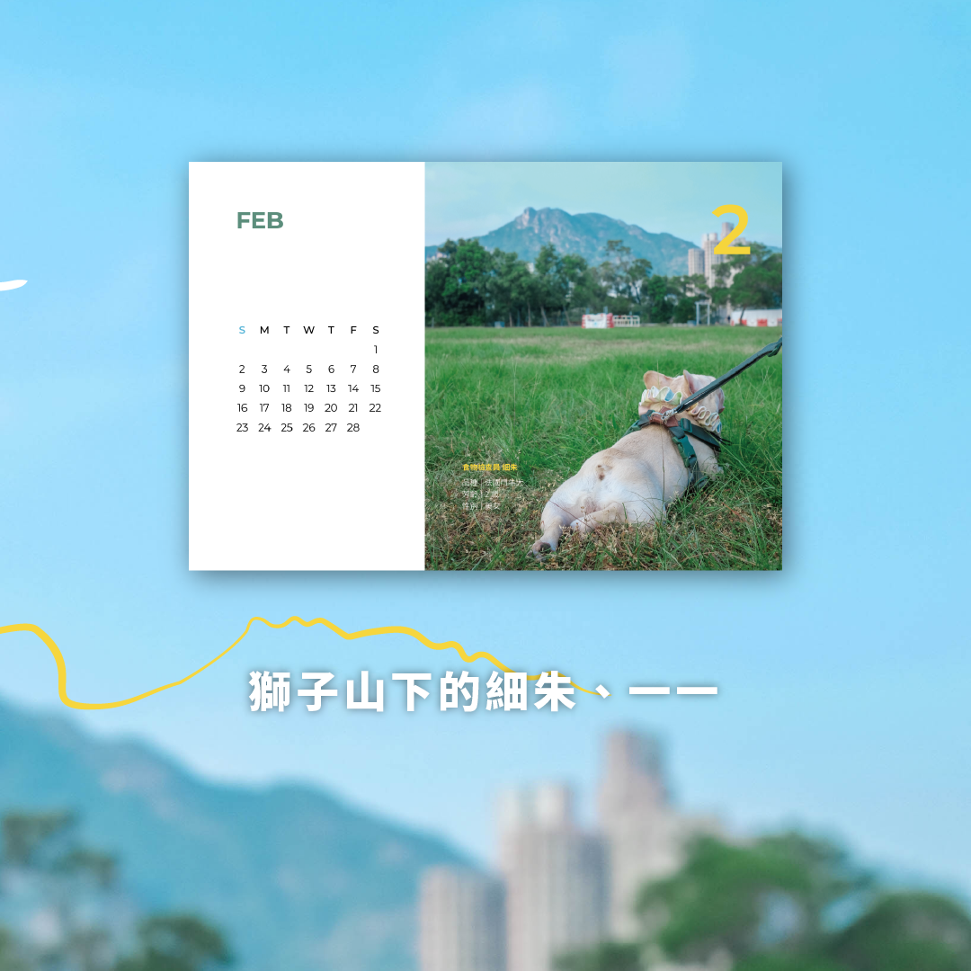 𝟐𝟎𝟐𝟱《跨越圍牆的治療師》座枱月曆｜一一細朱 x 手足毛孩 🐈🐕