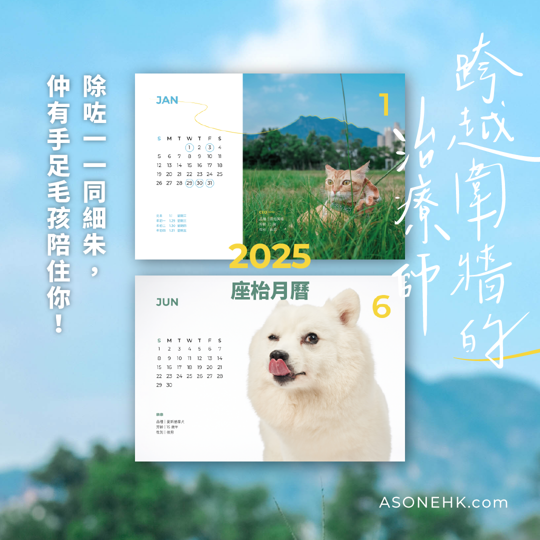 𝟐𝟎𝟐𝟱《跨越圍牆的治療師》座枱月曆｜一一細朱 x 手足毛孩 🐈🐕