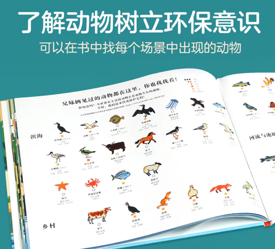 和大自然一起玩（精装）