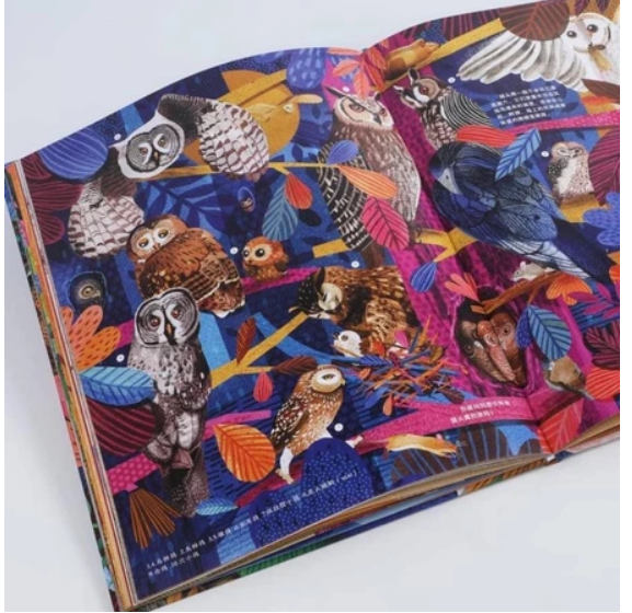 我的自然研究所（3本)