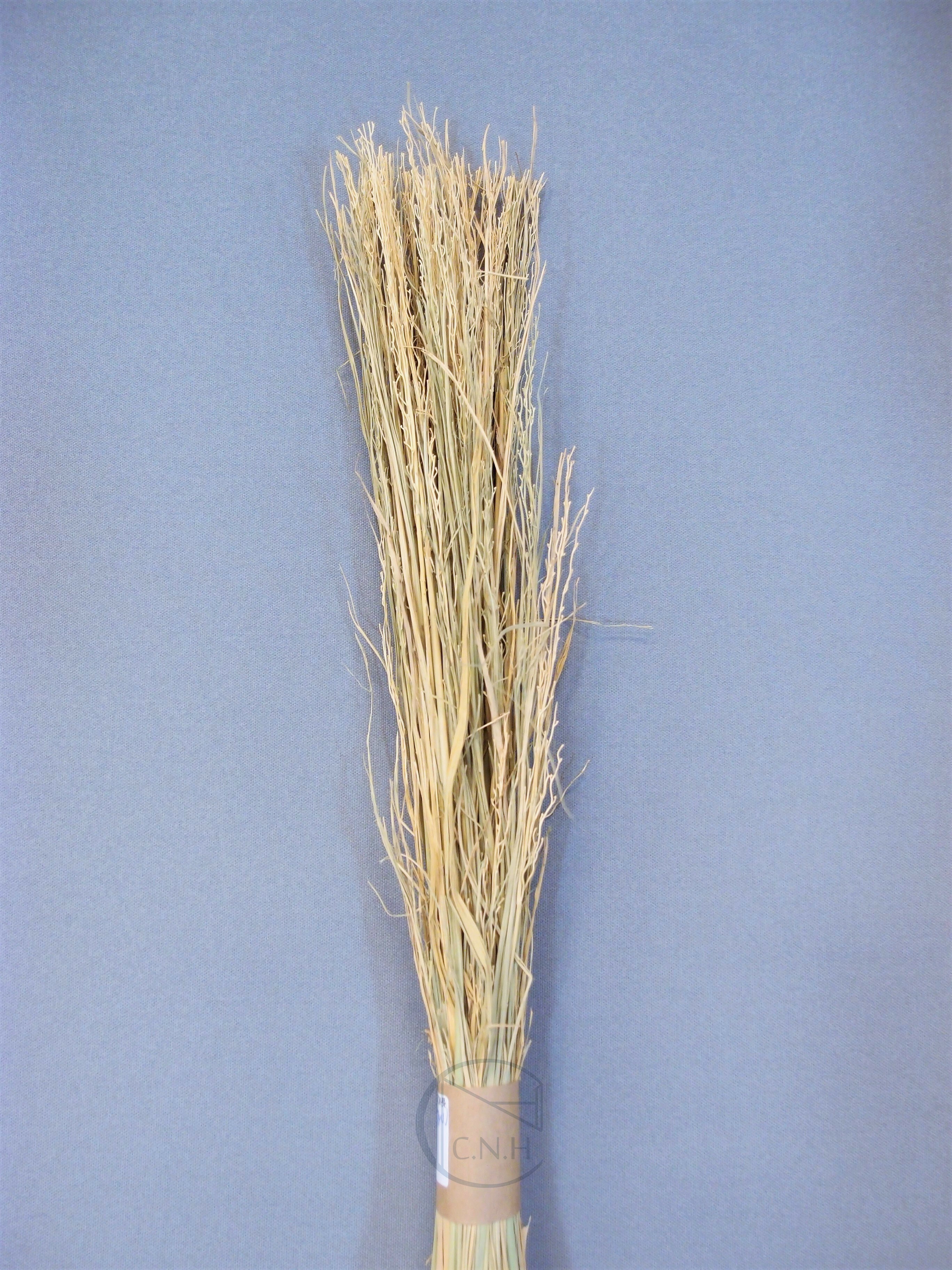 精梳軟化稻草 70CM 零售