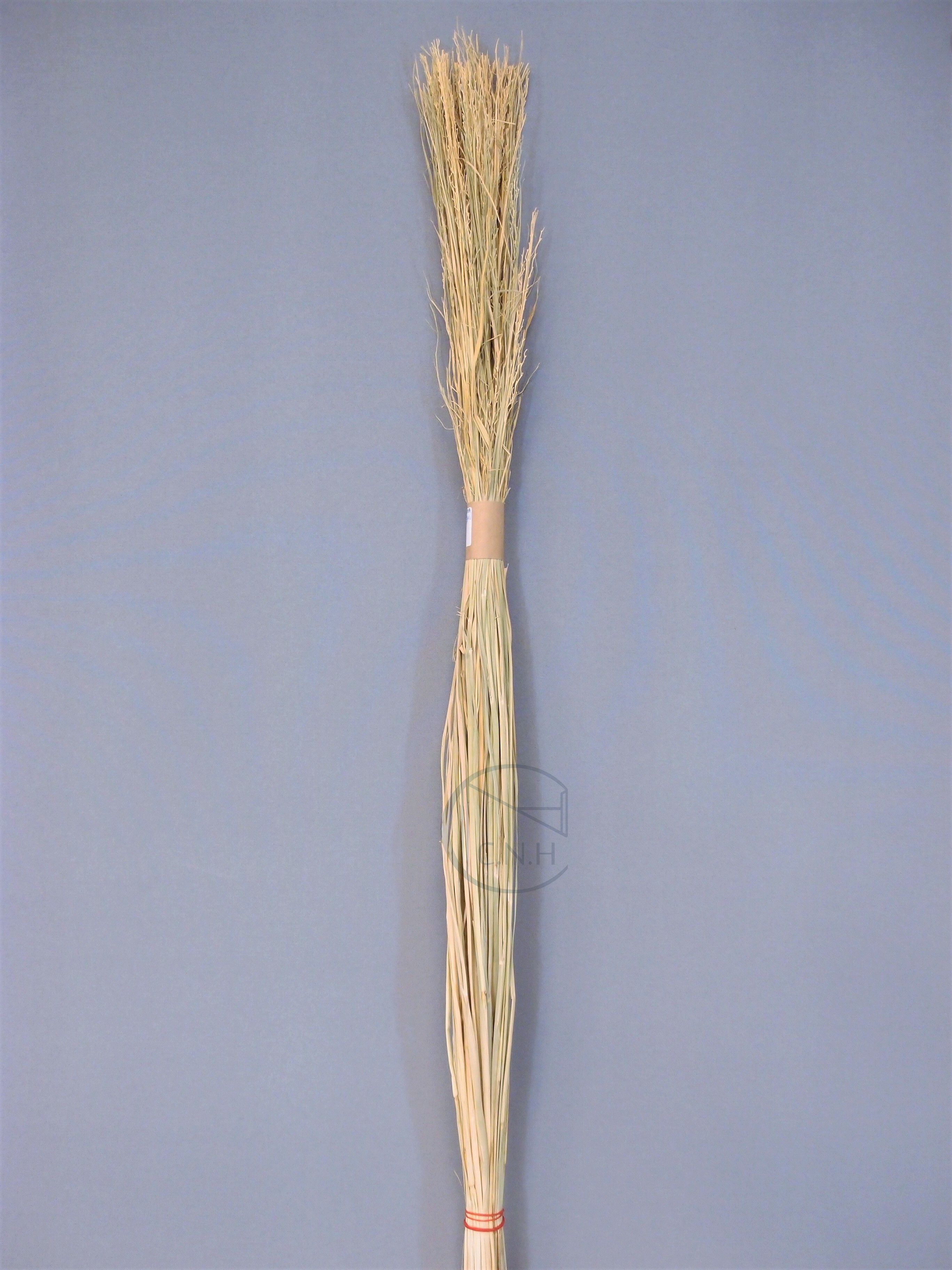 精梳軟化稻草 70CM 零售