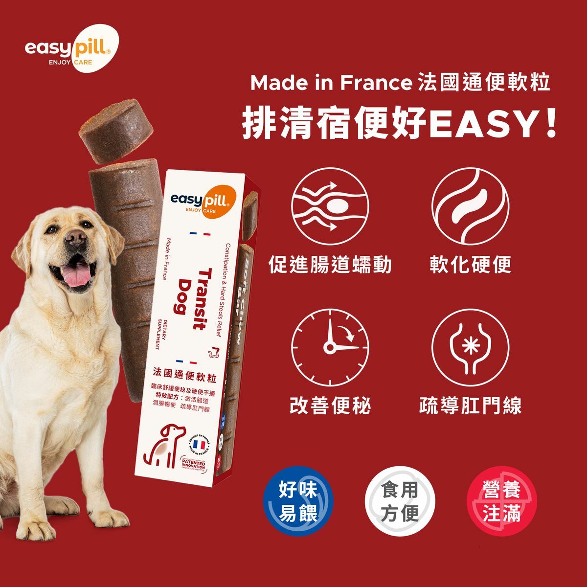 Easypill Transit Dog Soft Chew Bar 7 Pieces/Bar