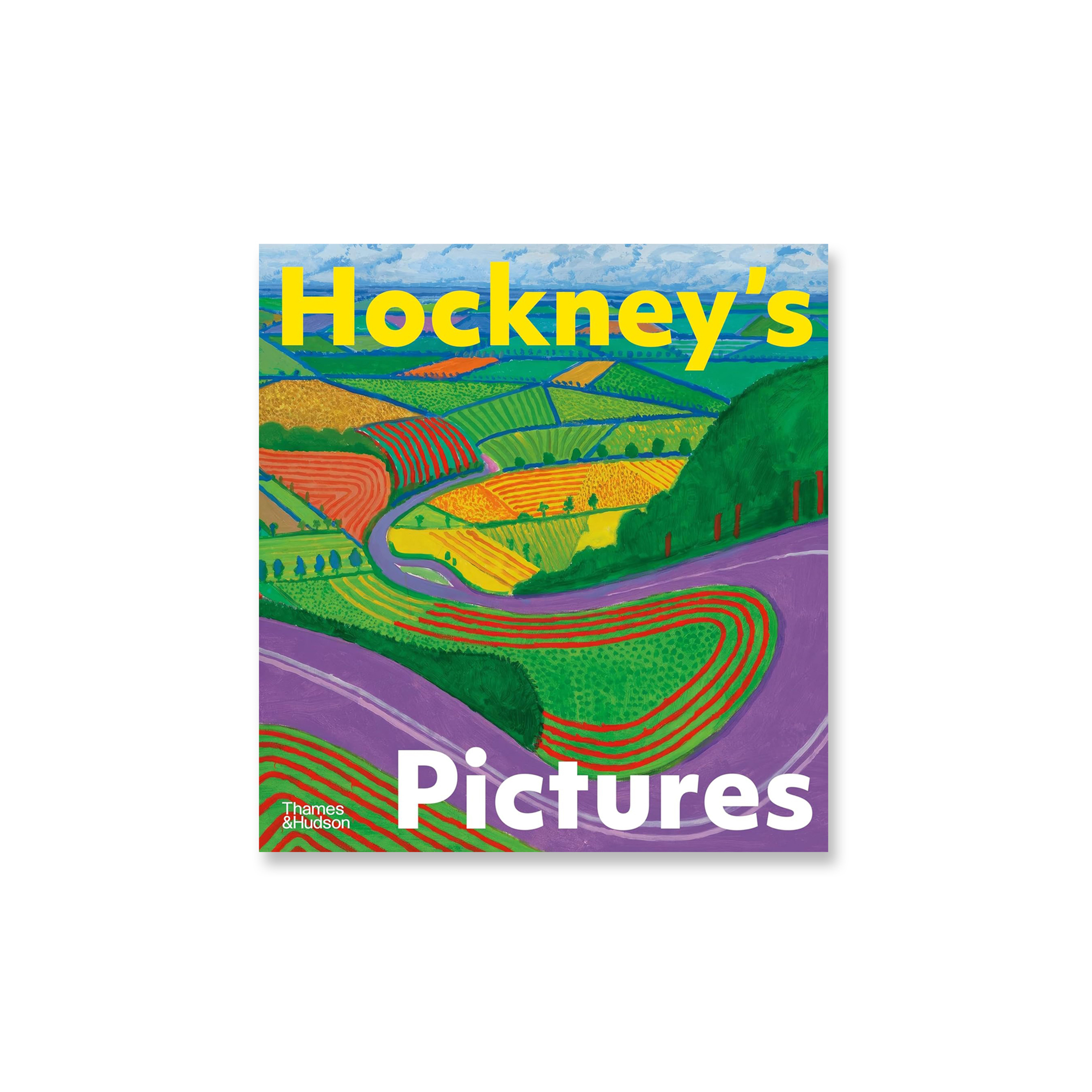 Hockney's Pictures