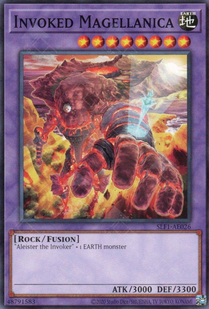 SLF1-AE026 Invoked Magellanica