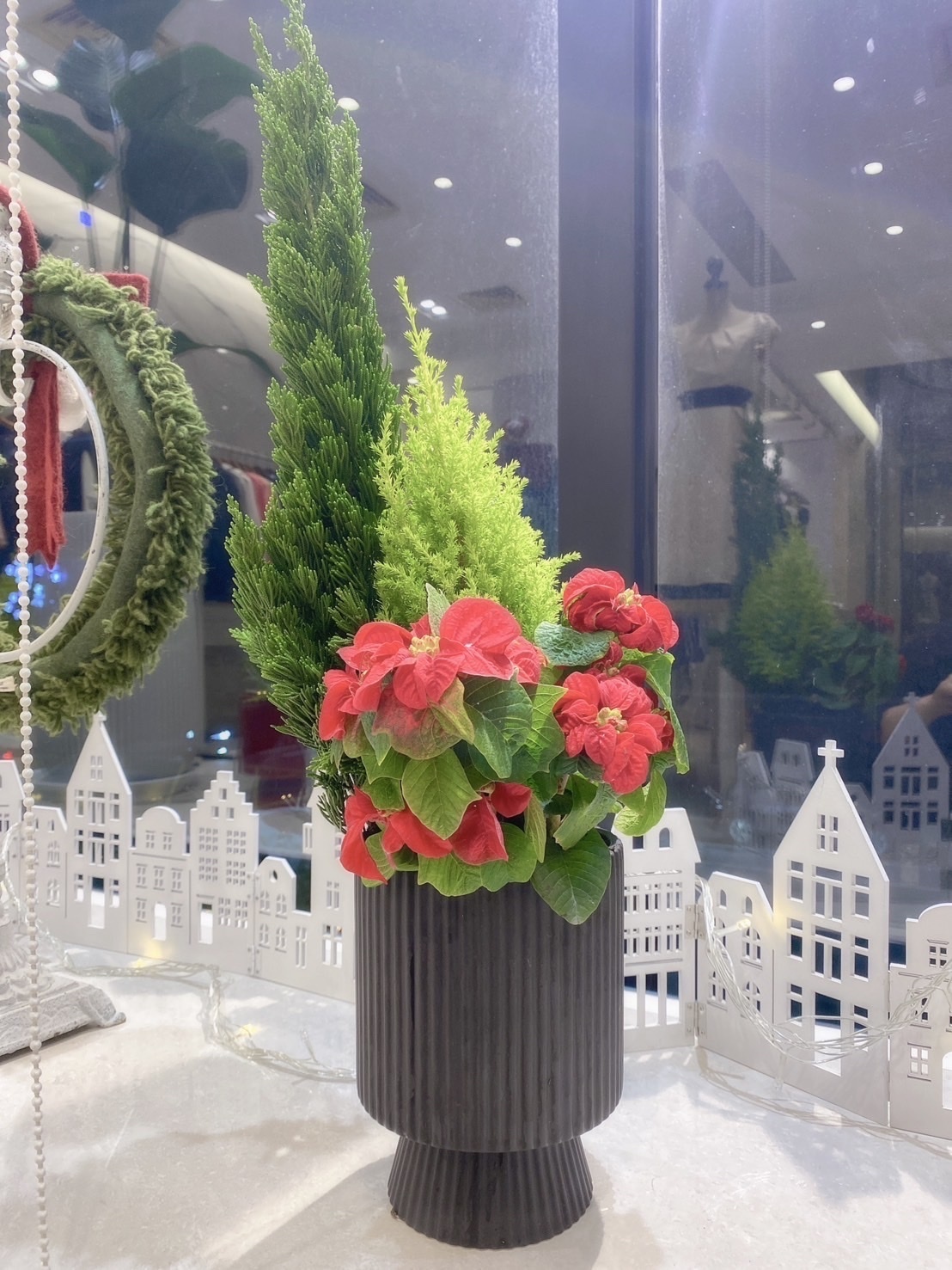 聖誕紅Christmas小植栽