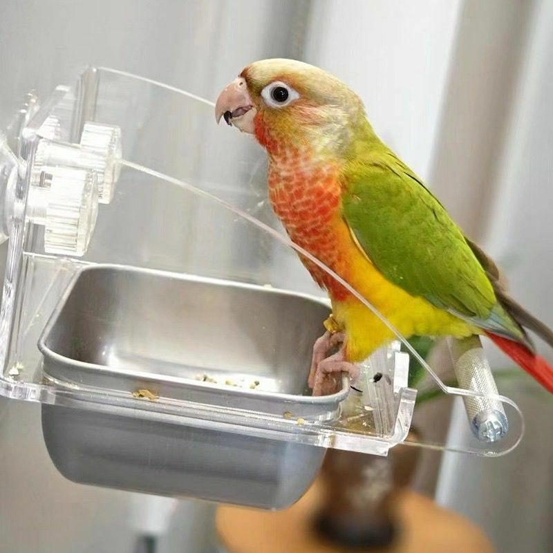 不鏽鋼鸚鵡飼料盒