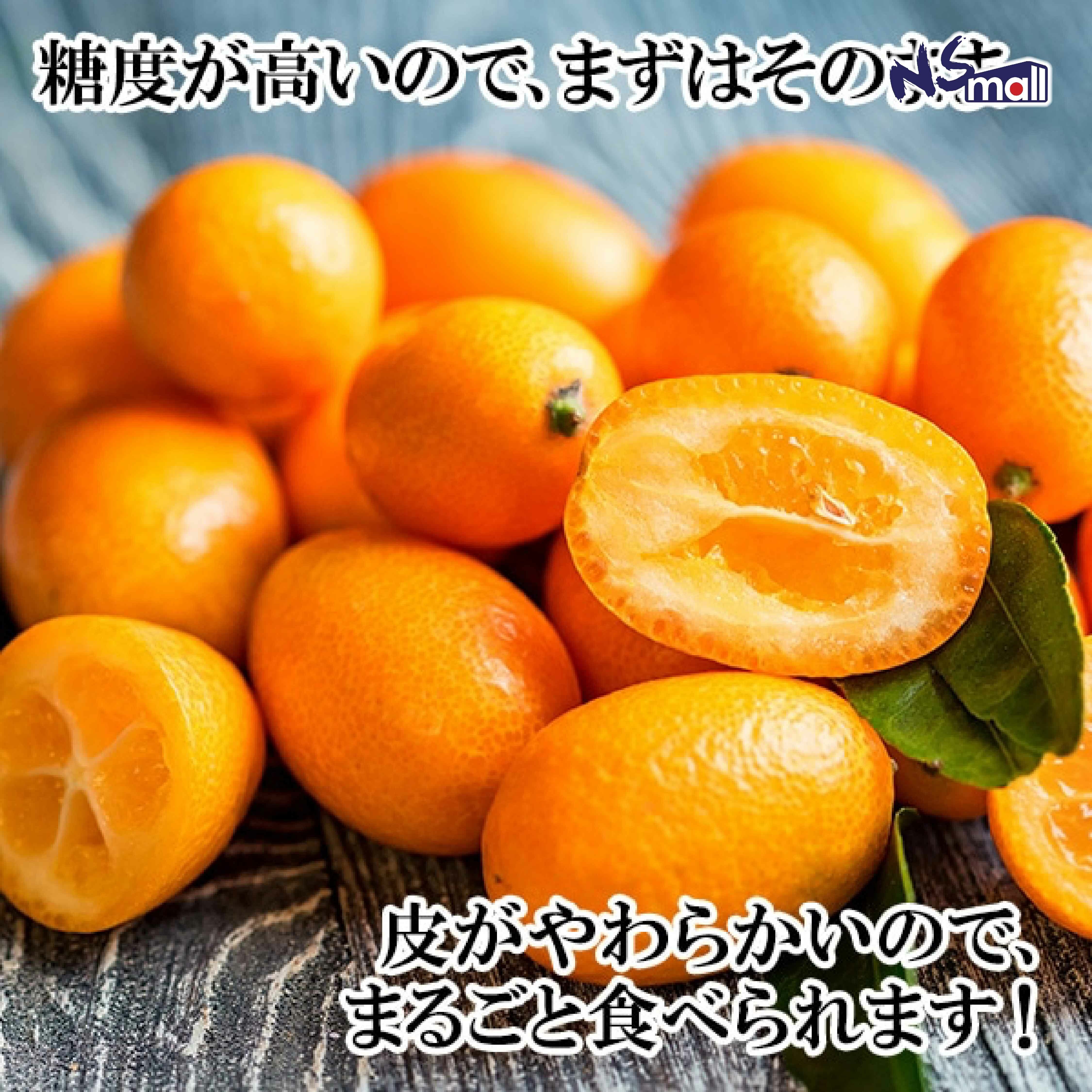 宮崎金柑 (小盒裝) 約250g*15pkg (2L/3L)