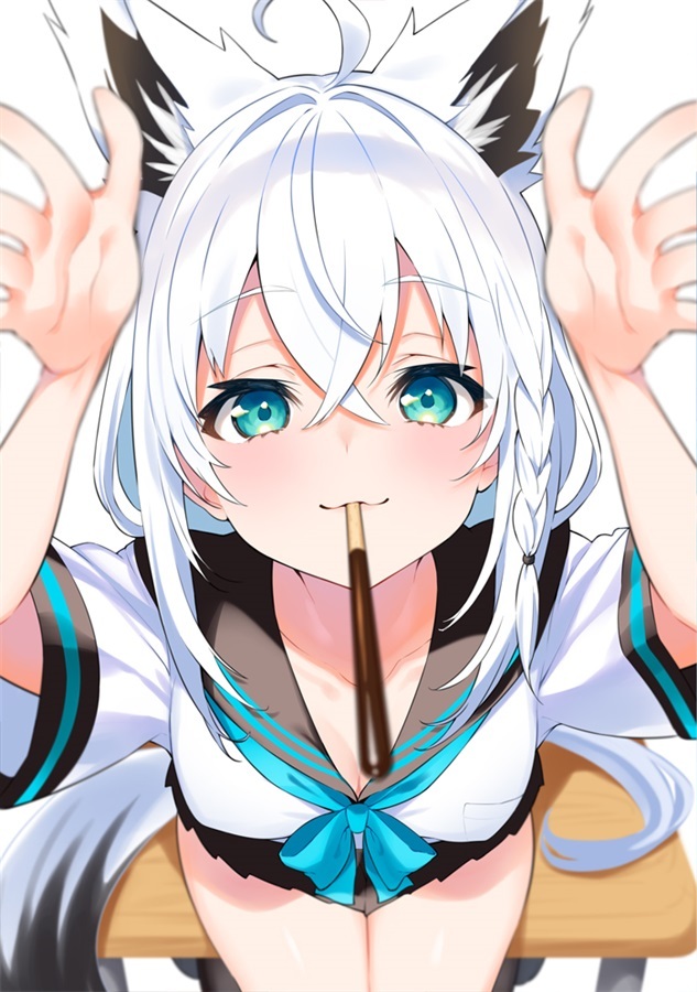 C105「同人代購」「Melonbooks代購」WATA★PUNCH - ホロ式01