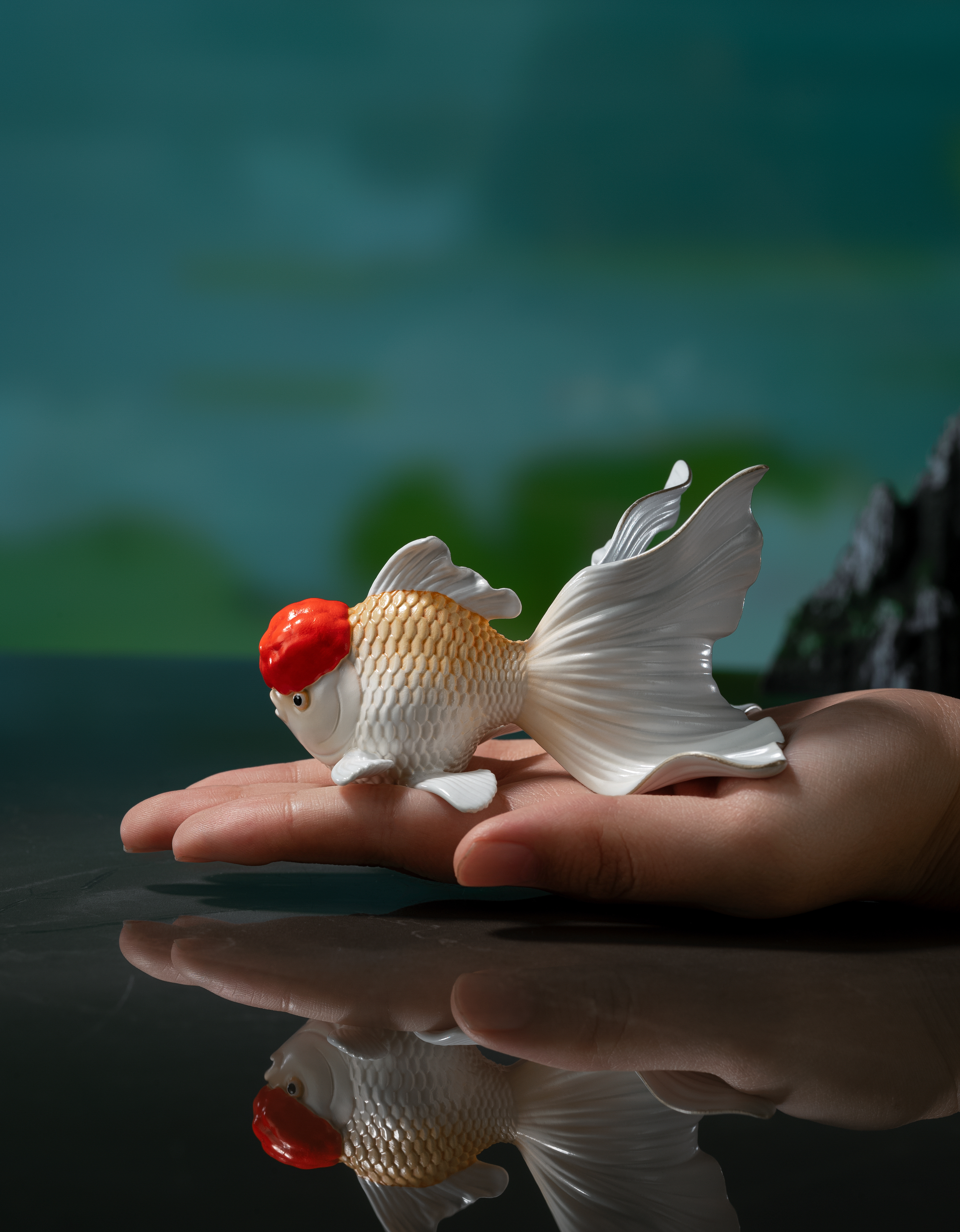 金餘(白色金魚)