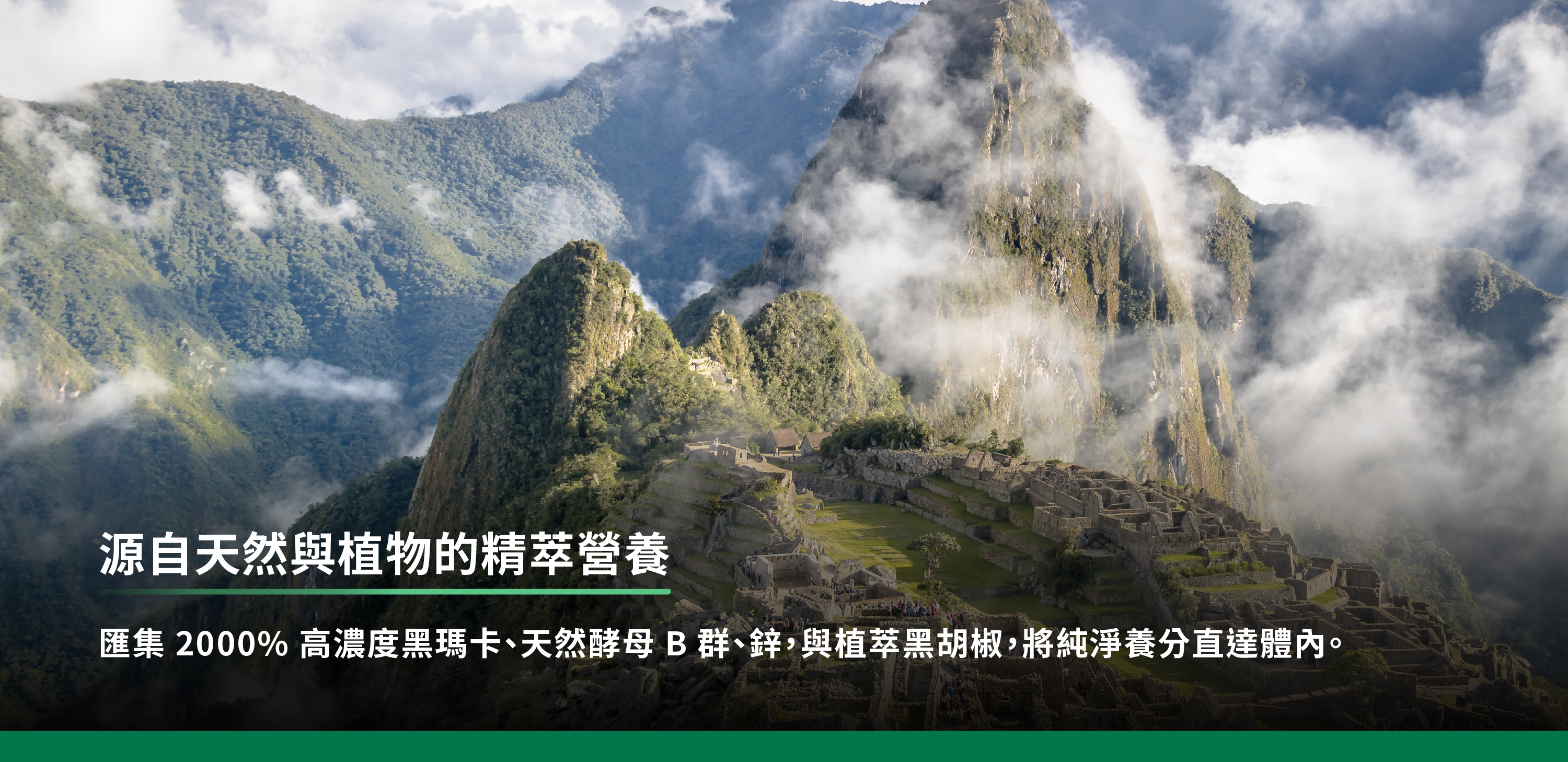 匯集2000%高濃度黑馬卡、天然酵母b群、鋅,與植萃黑胡椒,將純淨養分直達體內
