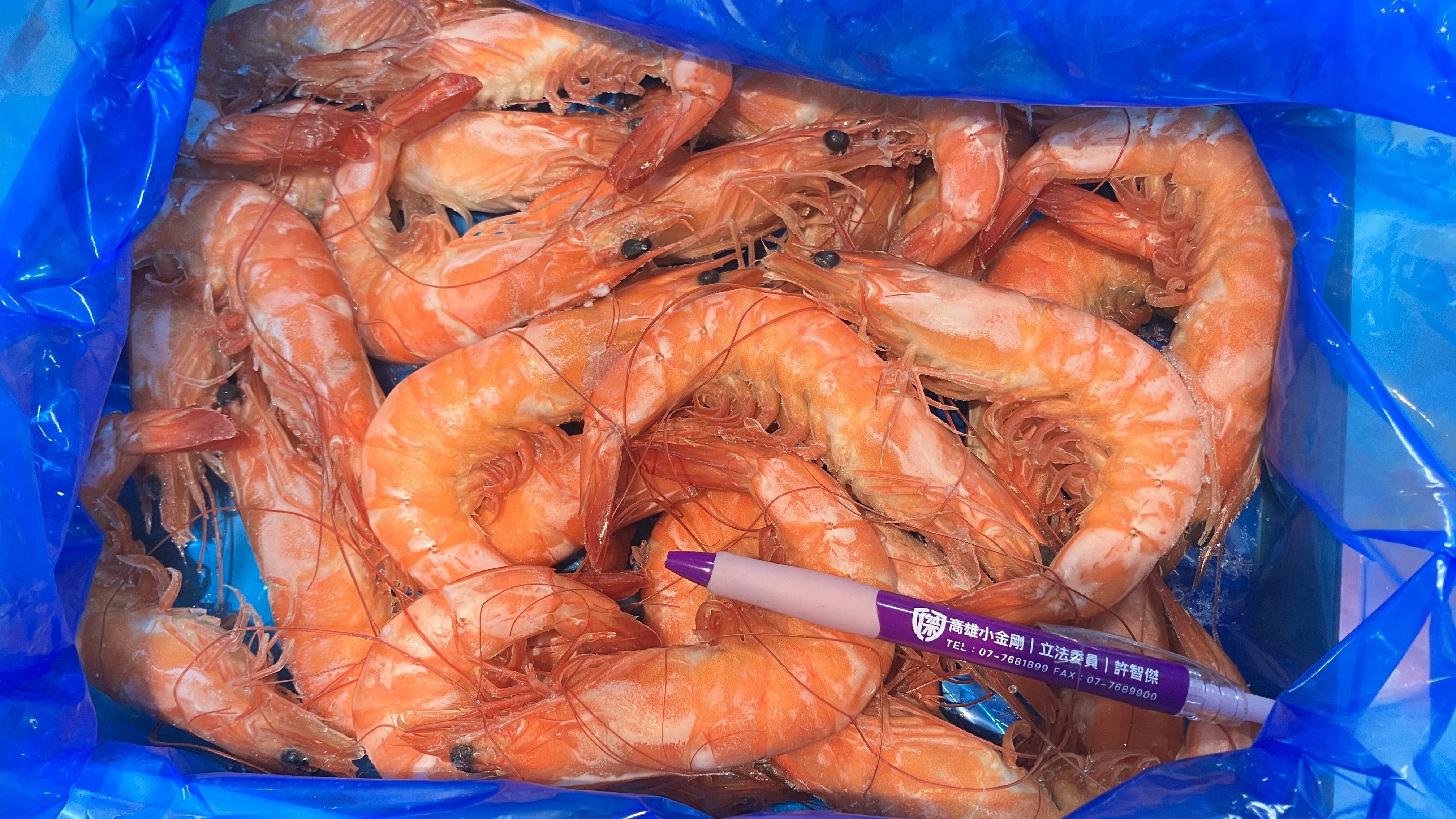 熟白蝦-金一番海老21/25-1.1公斤