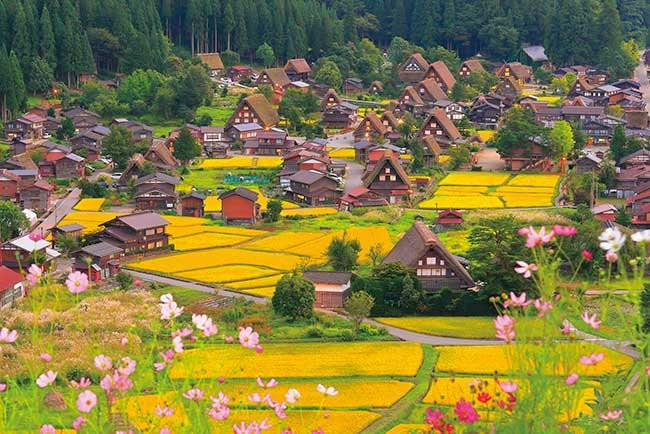 宇宙搖曳的白川鄉
