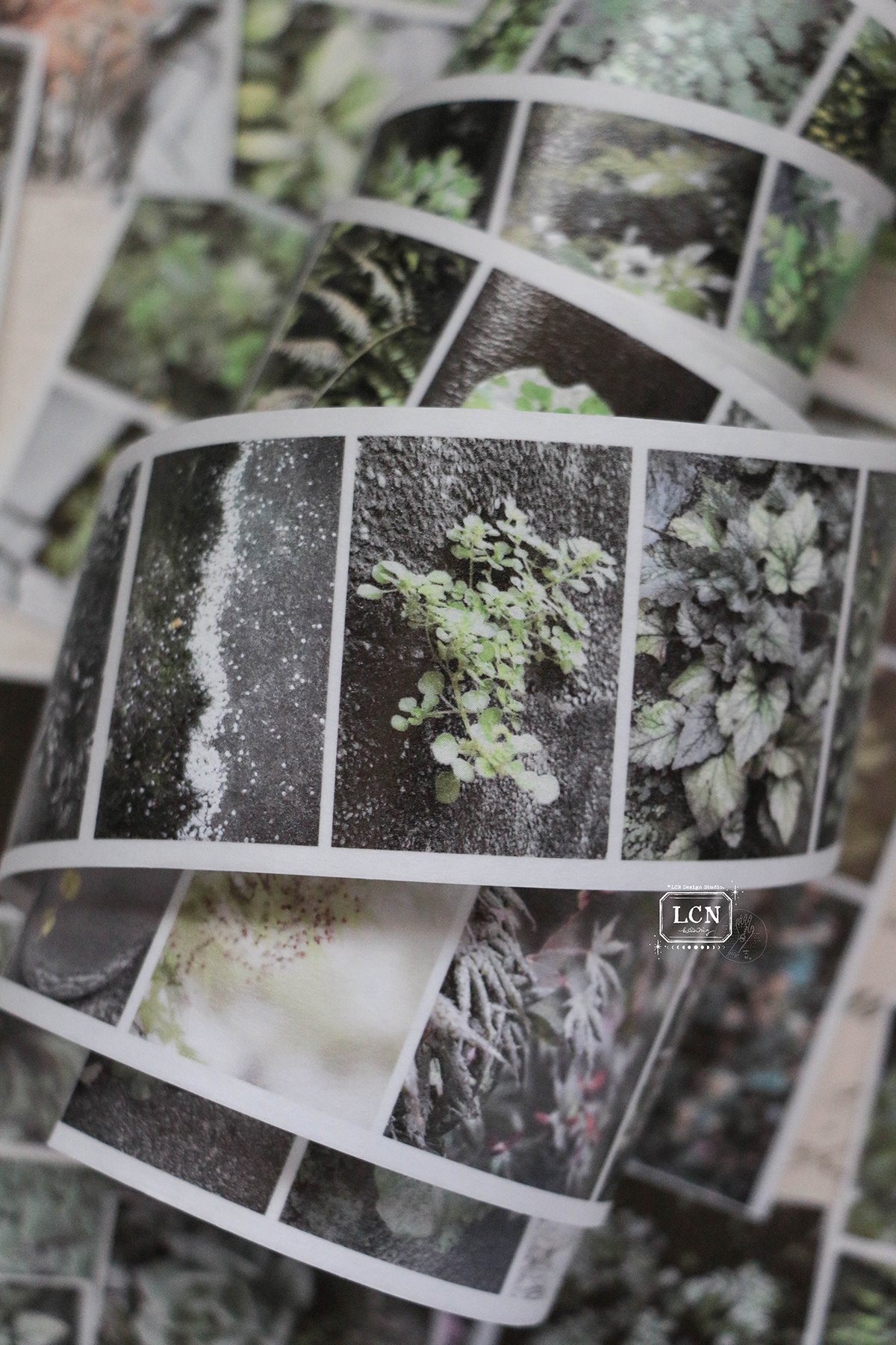 Lin Chia Ning Tape - Leaf Washi