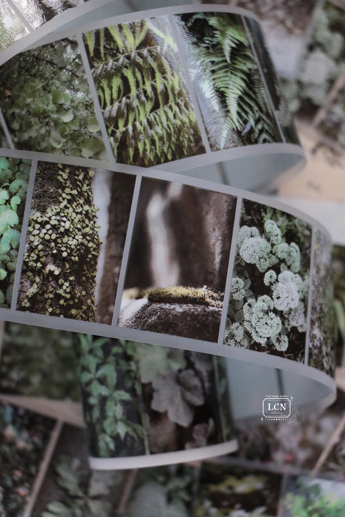 Lin Chia Ning Tape - Leaf PET