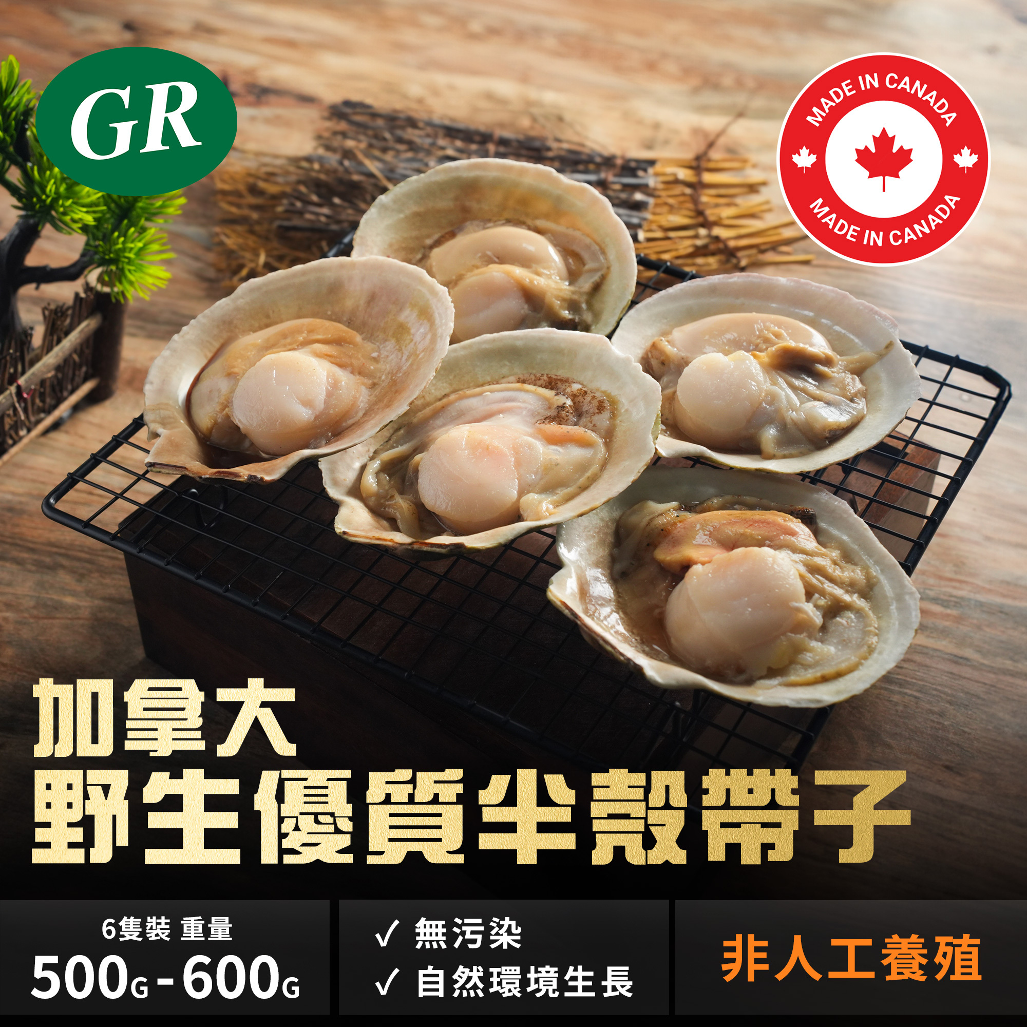Canadian Wild Caught half Shell Scallop 500g-600g (6PCS)