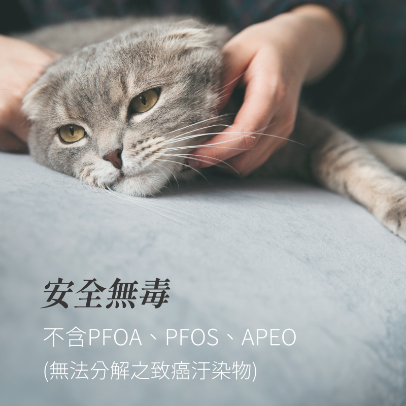 【MUNICHI】奢華漫遊3D電動沙發(經典單人款)無毒安全