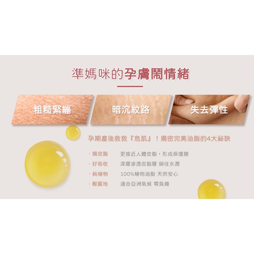 【樂森藥局】AUROS 山茶花之孕撫紋 按摩油 90g(有效:27/01)
