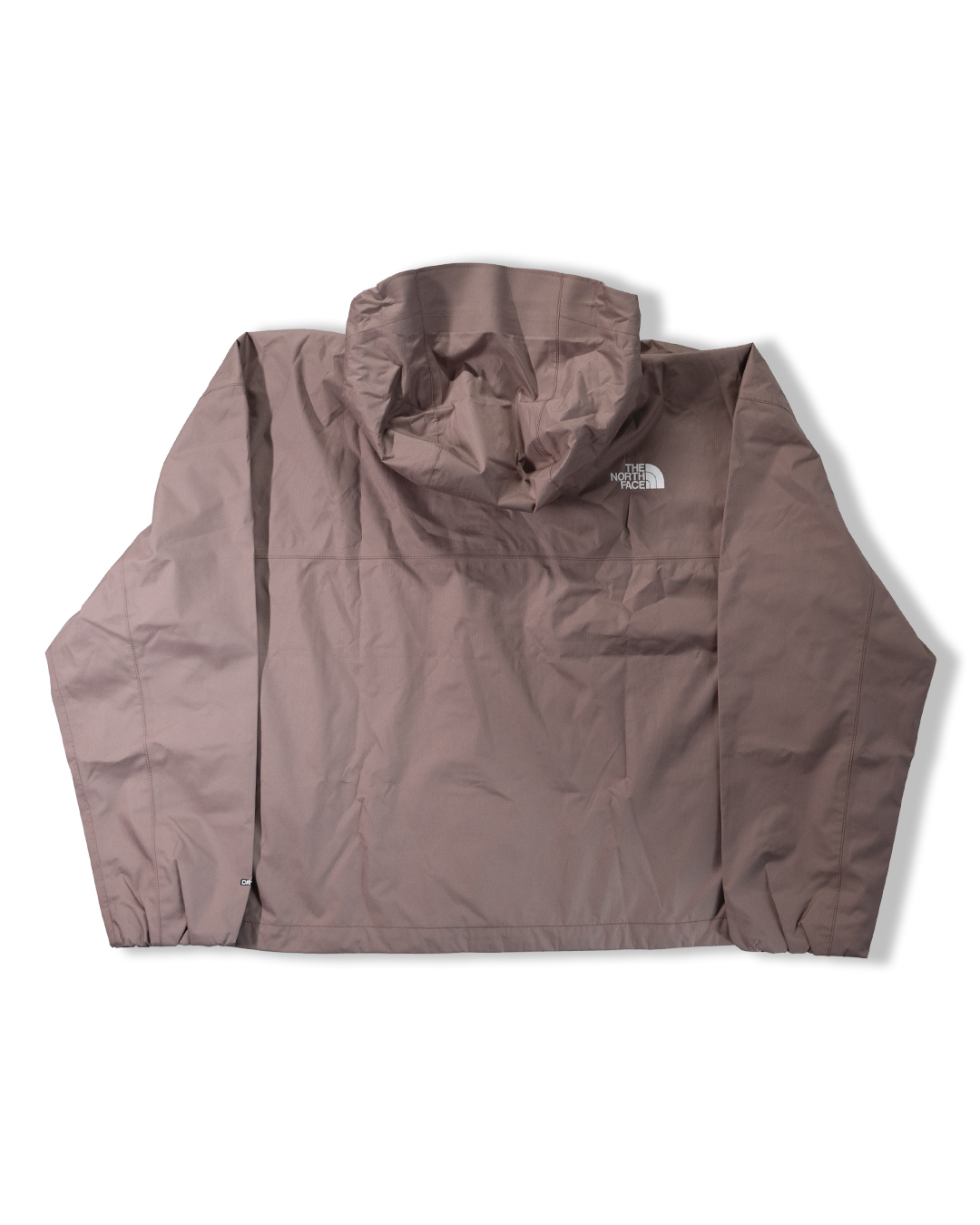 TNF北臉 0172 女 淺咖 Dryvent