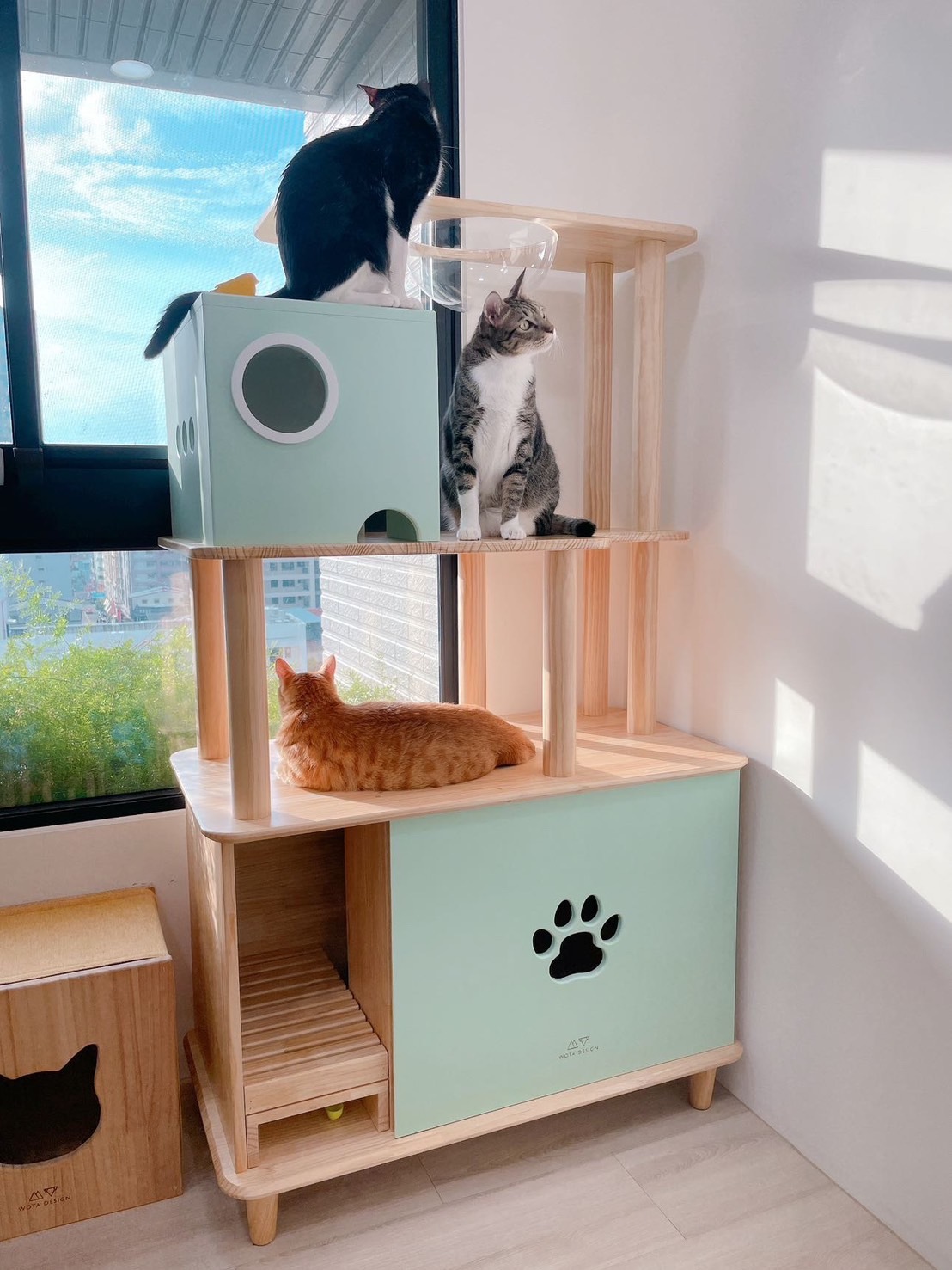 WOTA 握踏| 尋光貓跳台 (實木貓跳台 手工貓跳台)