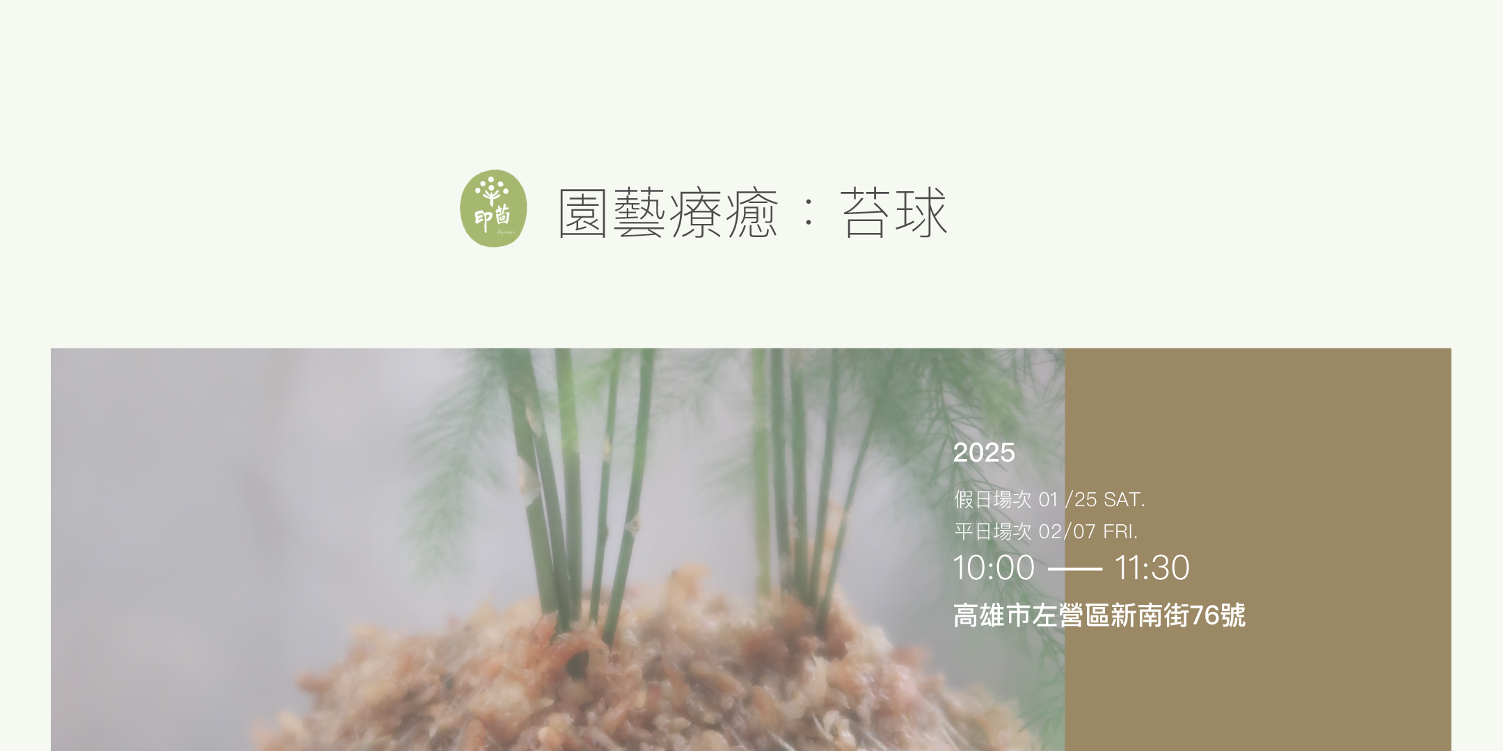 園藝療癒:苔球課程