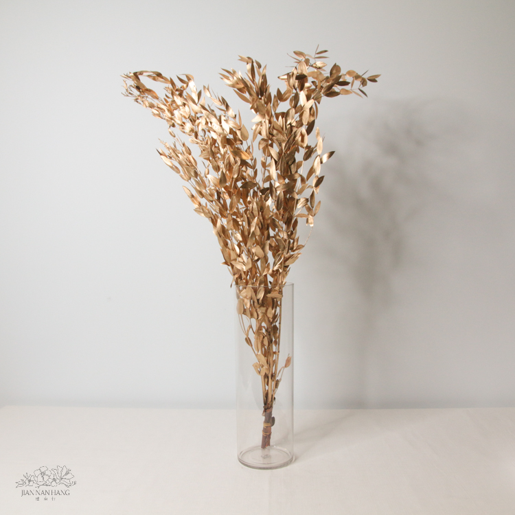 不凋 細葉尤加利 金色