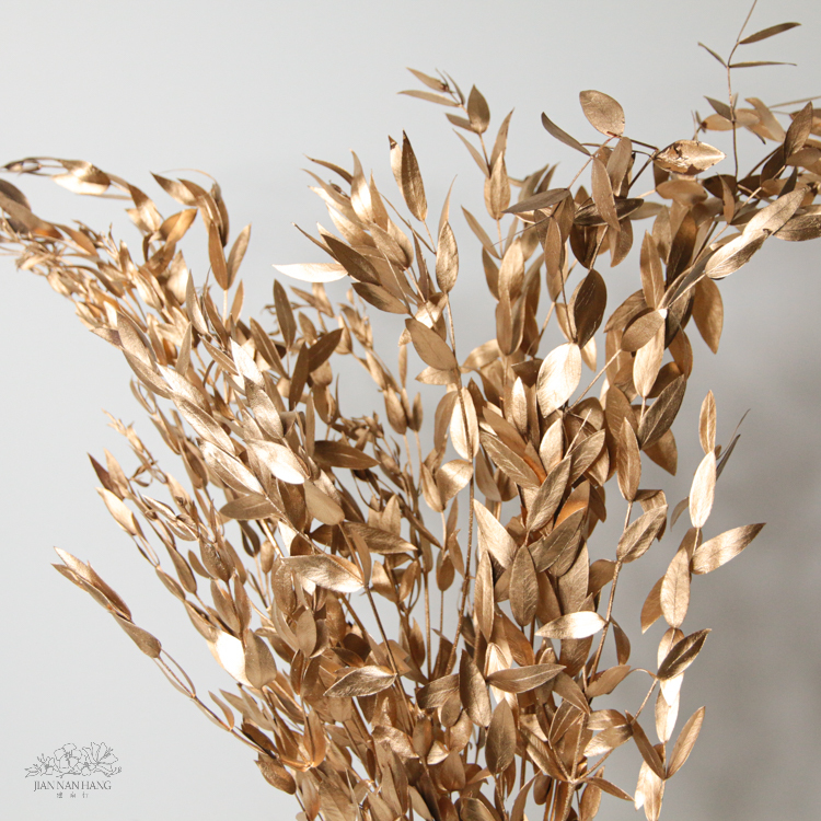 不凋 細葉尤加利 金色