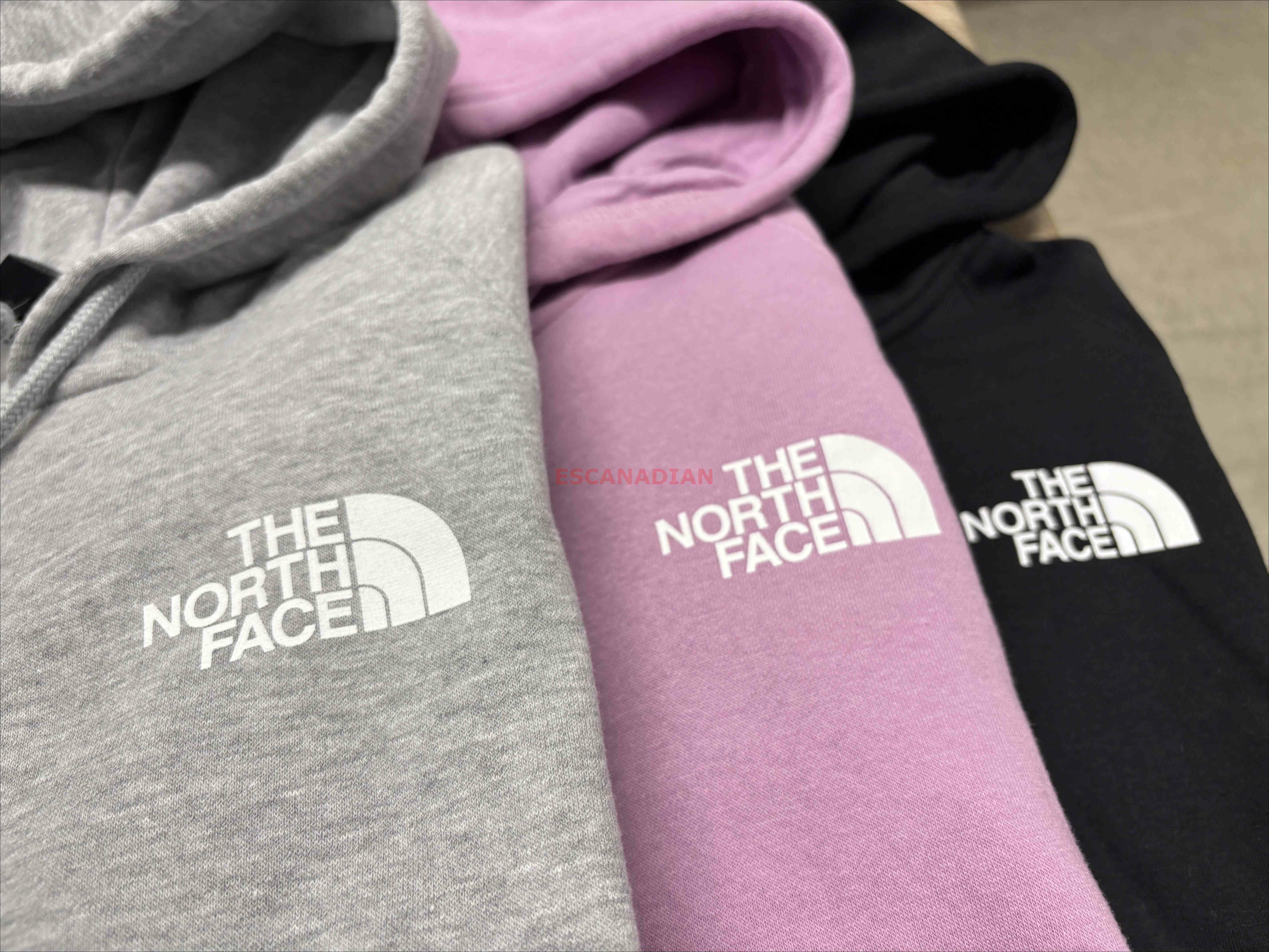 THE NORTH FACE 女大人 經典小LOGO 刷毛 連帽外套 (3色)