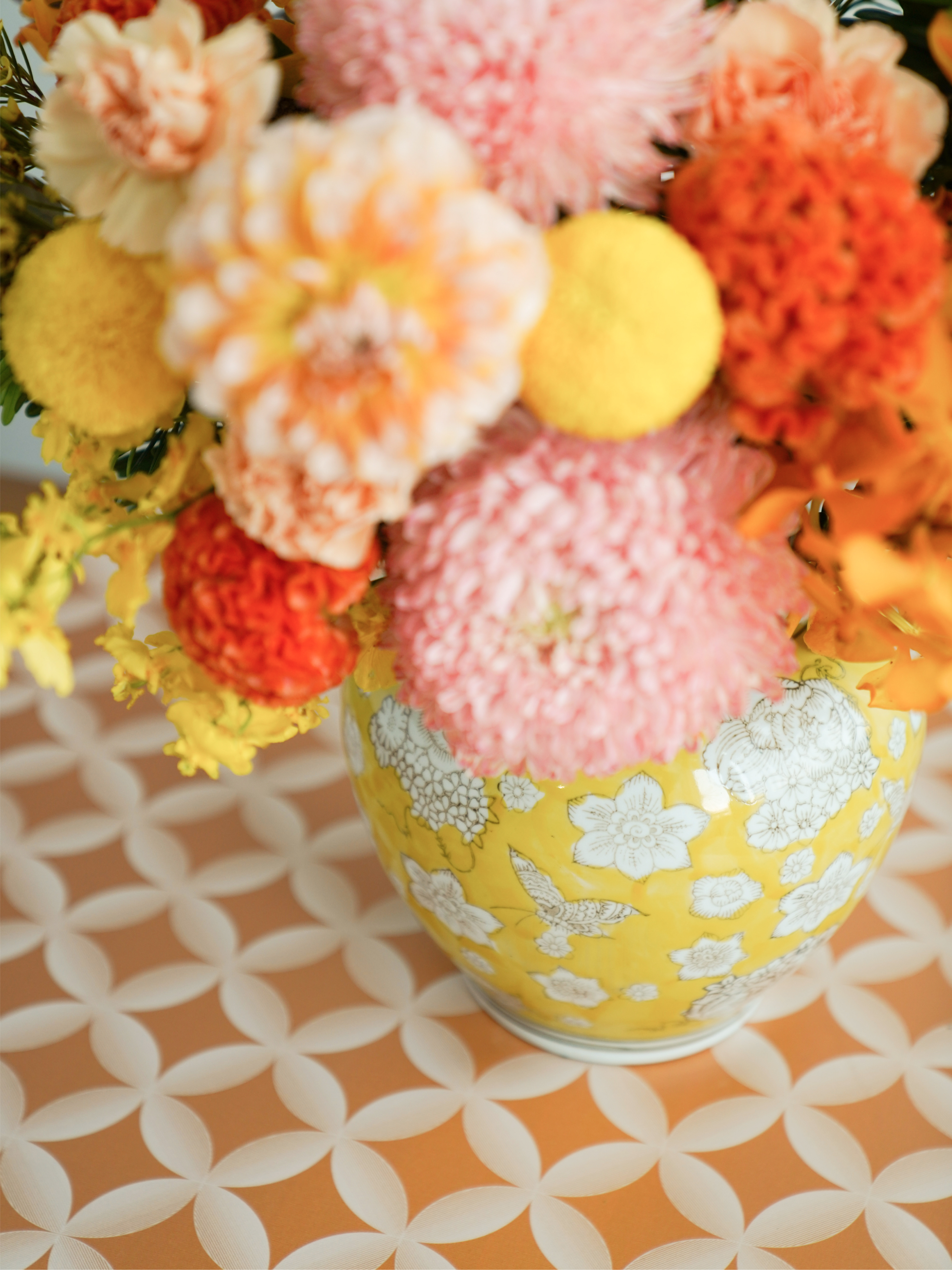 金馬 · 黃花瓷鮮盆花 新年花禮