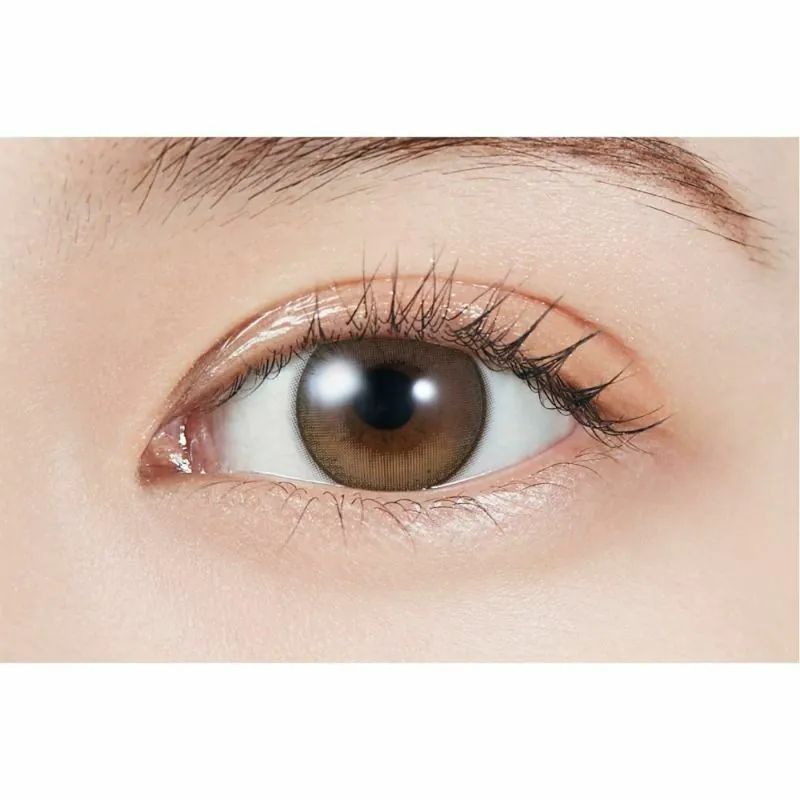 [散光日拋] PIA MOLAK 1 Day Toric Dollish Brown 隱形眼鏡｜每盒10片