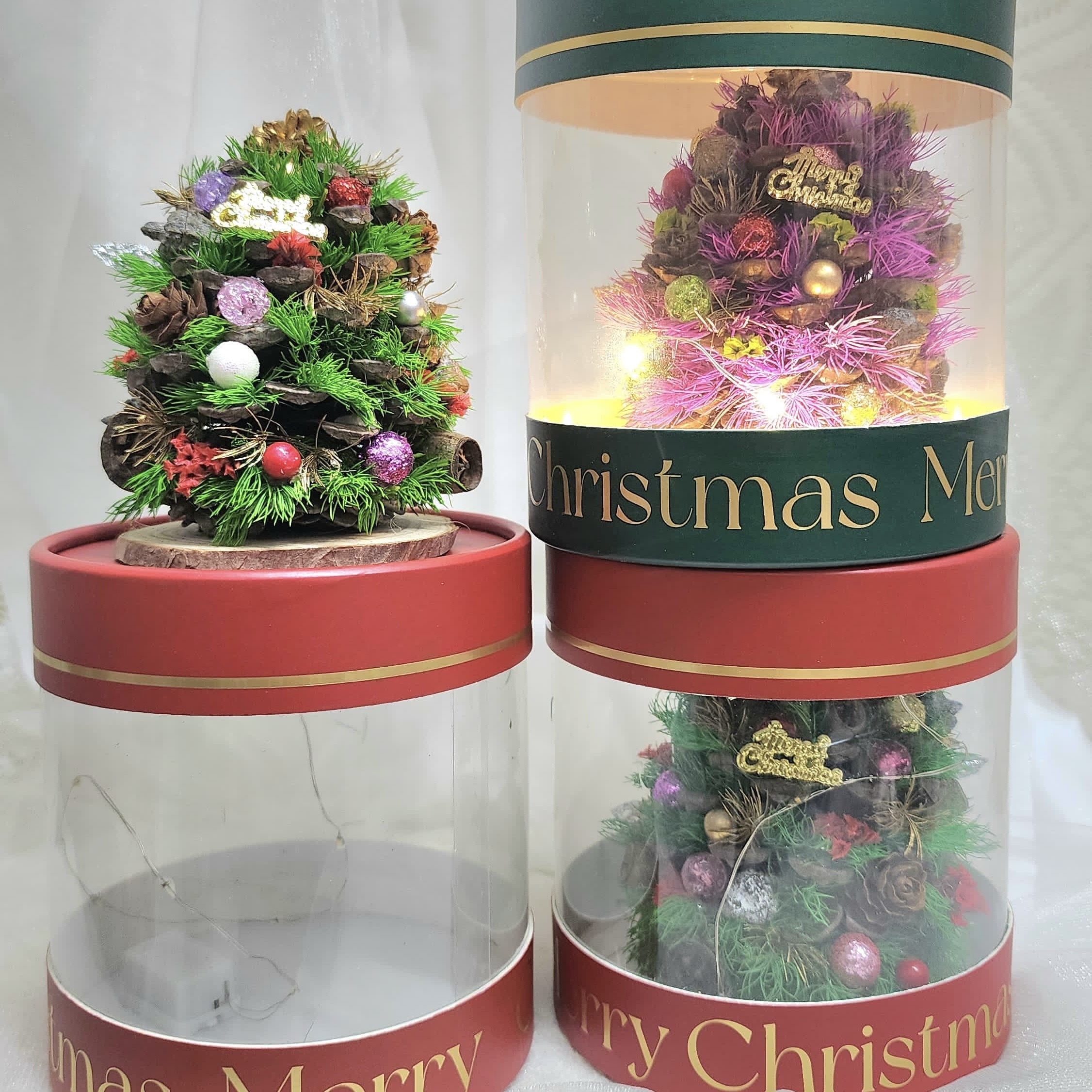 圓盒聖誕樹 (XA04)
