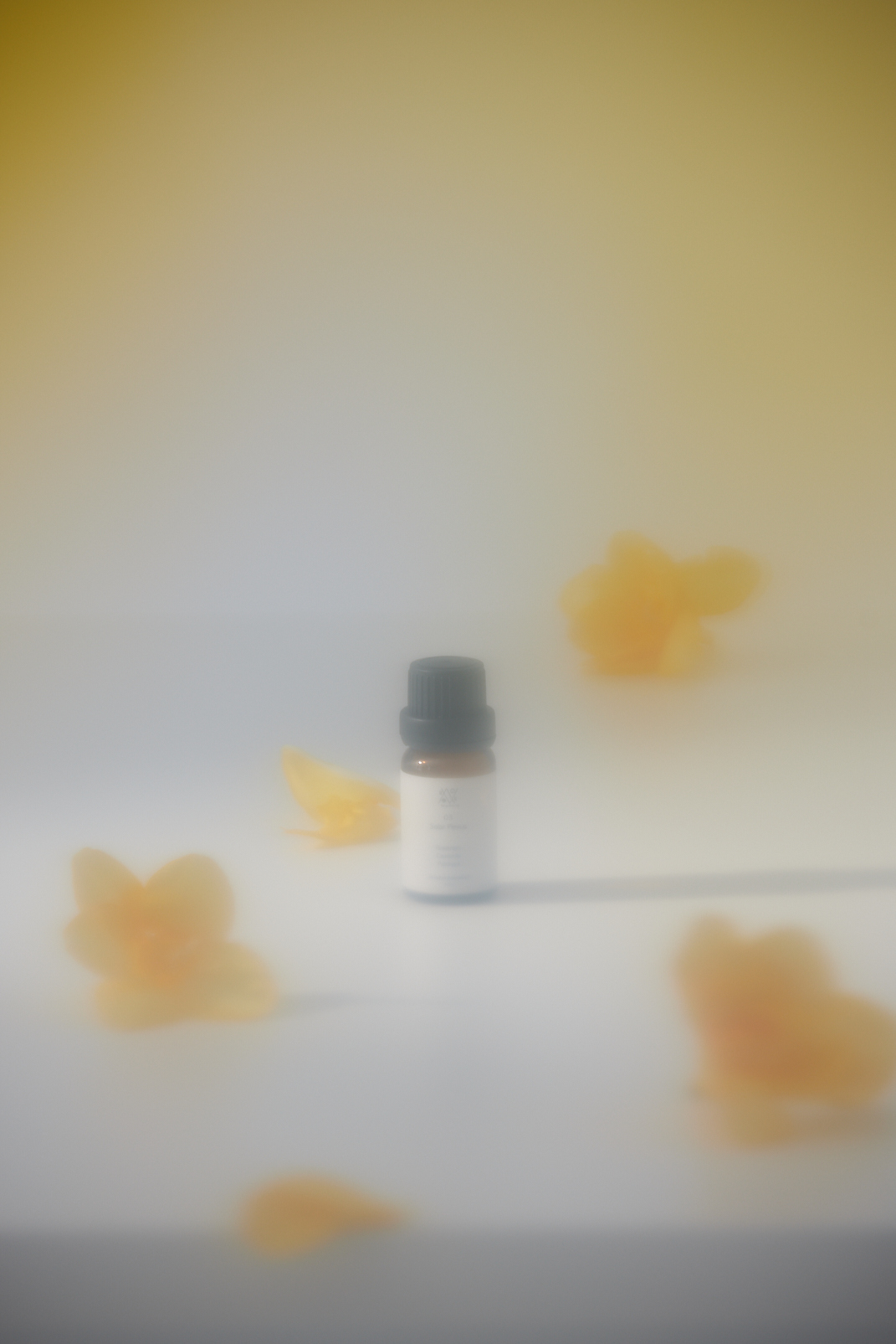 03 力 | 太陽輪 | 脈輪複方精油