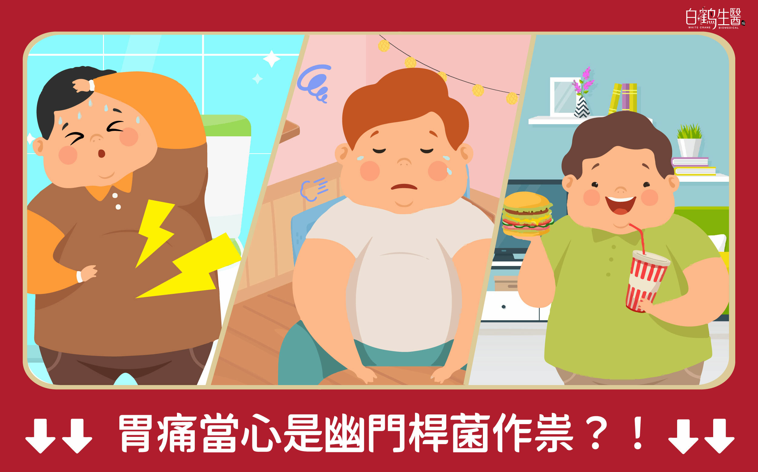 大多數的胃痛與飲食不當、情緒壓力有關。但你知道嗎？這可能是幽門桿菌作崇！免疫球蛋白IGY好處多，是保健腸胃的關鍵！購買相關保健食品的3大重點不能少