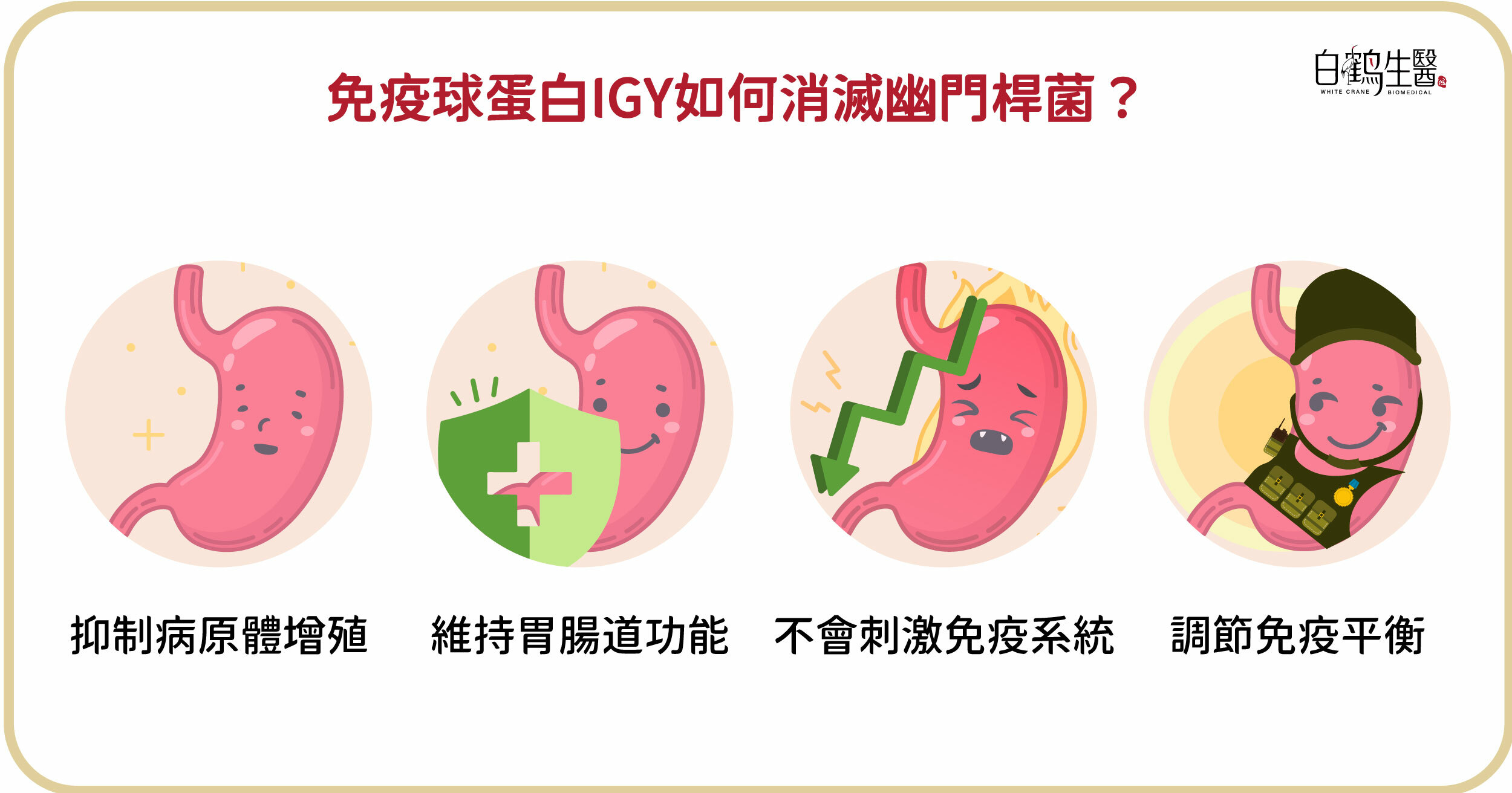 4大免疫球蛋白IGY 的好處，包含抑制病原體增殖、維持胃腸道功能、不會刺激免疫系統、調節免疫平衡，有助於消滅幽門桿菌