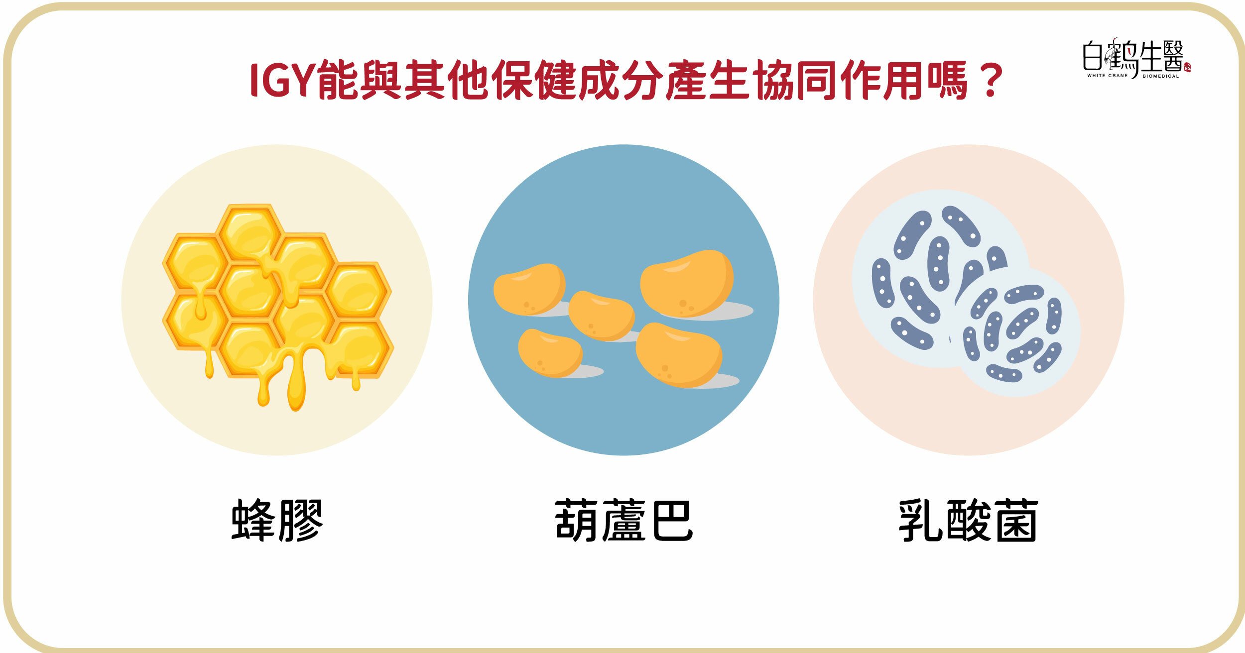 幫助益菌增生、保護胃黏膜的蜂膠、葫蘆巴、乳酸菌等3大保健成分，若能與免疫球蛋白IGY協同，將使保健效果加倍！形成最佳保護機制