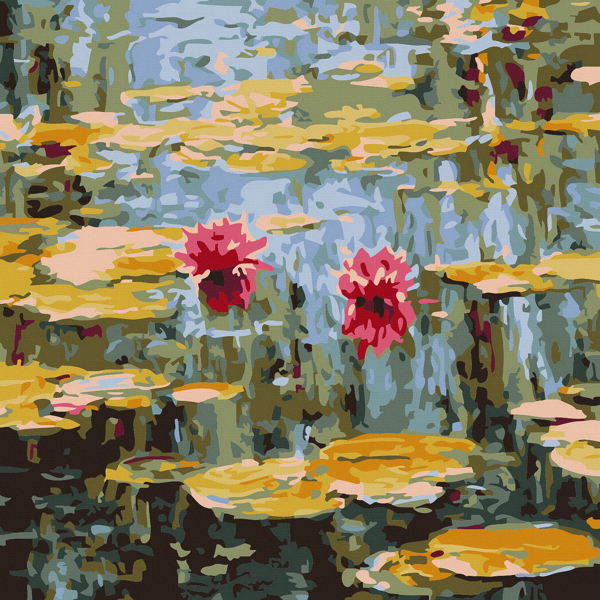 【AQ013】睡蓮（袋裝）