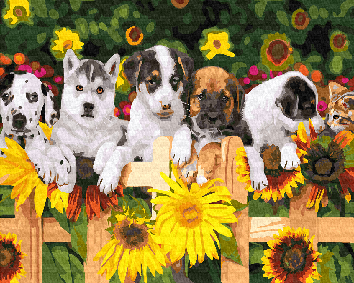 【DT066】動物花園