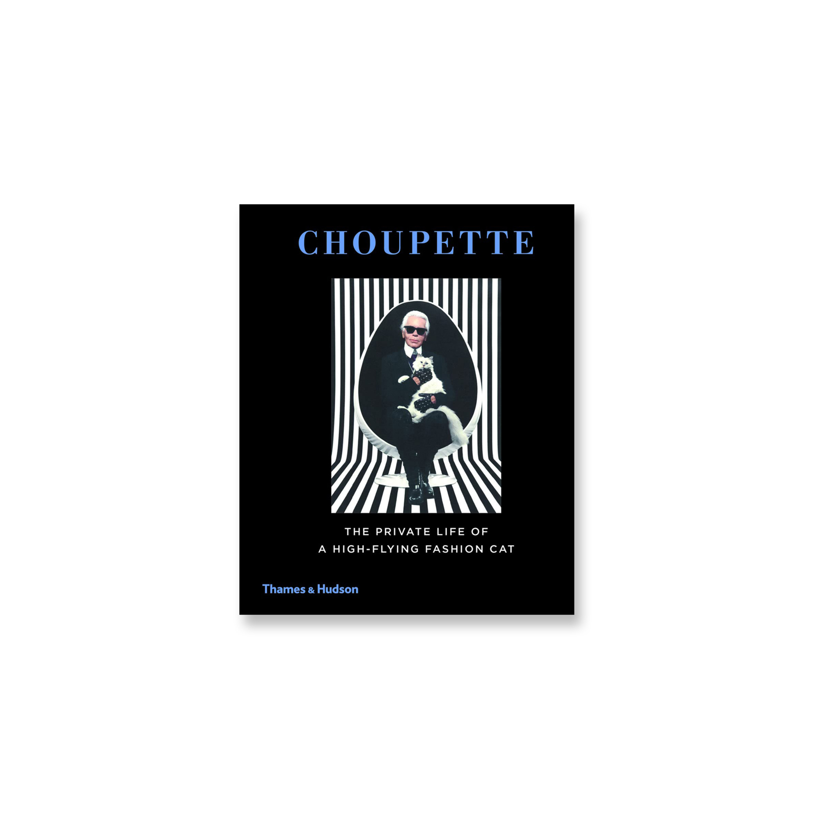 Choupette: The Private Life of a High-Flying Fashion Cat