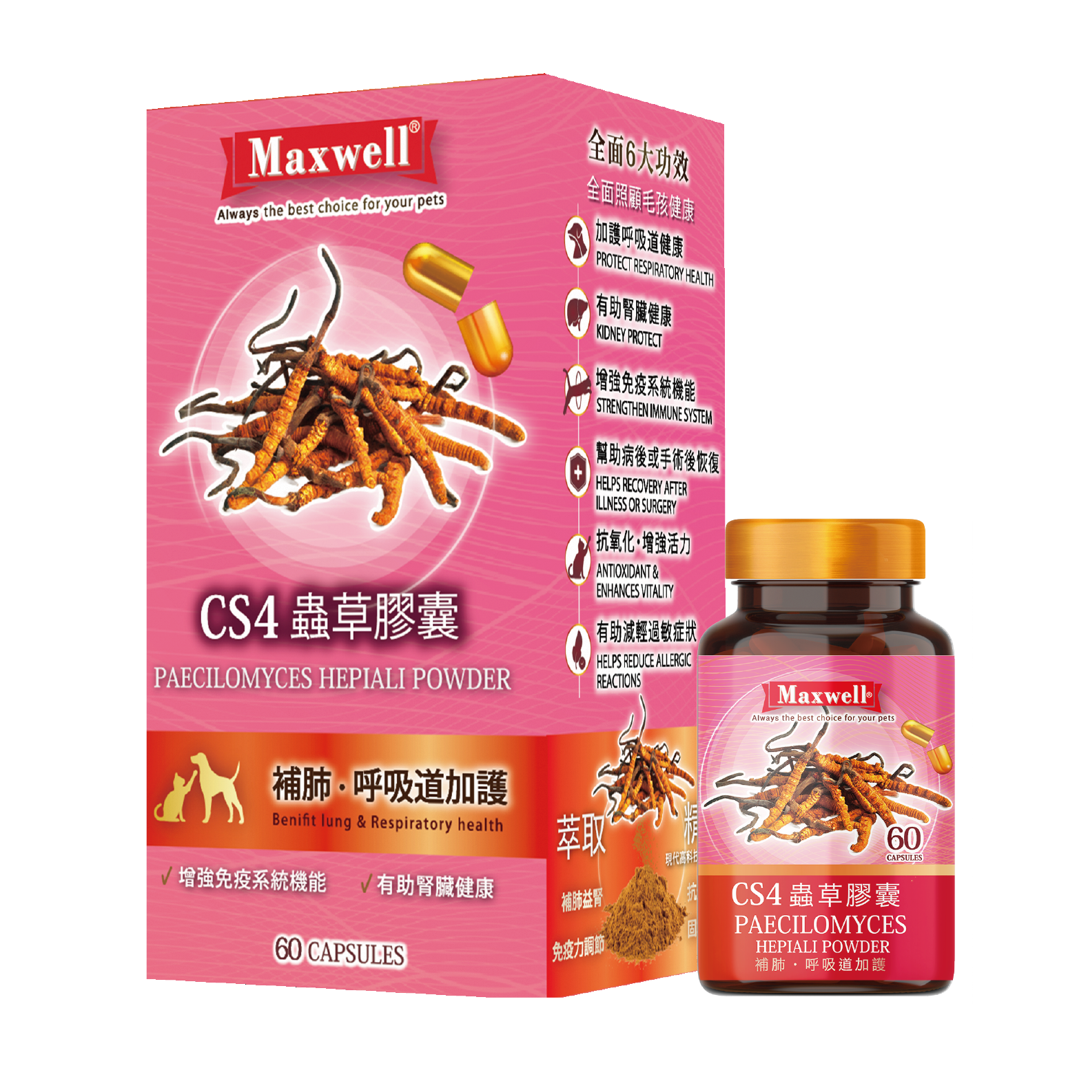 Maxwell|CS4蟲草膠囊60粒(MXA-4804)